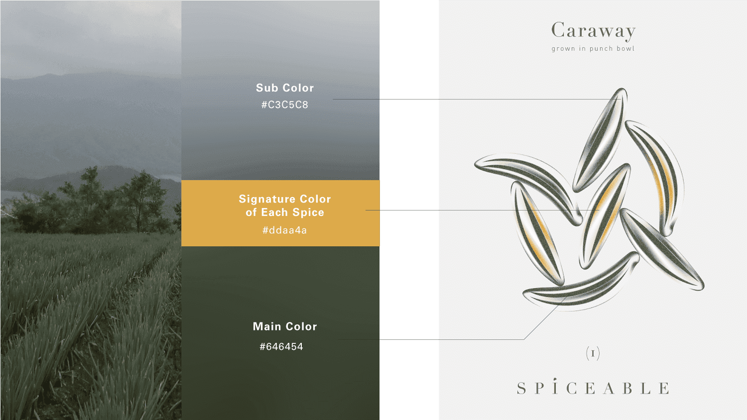 nature image on the left side with color options for blue, yellow and green