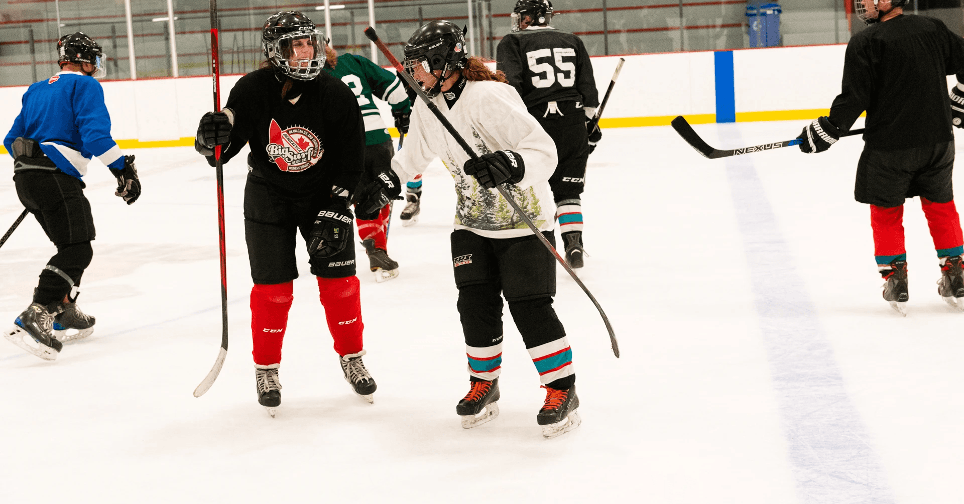 TeamLinkt's Banner Civic - City of Kelowna Hockey