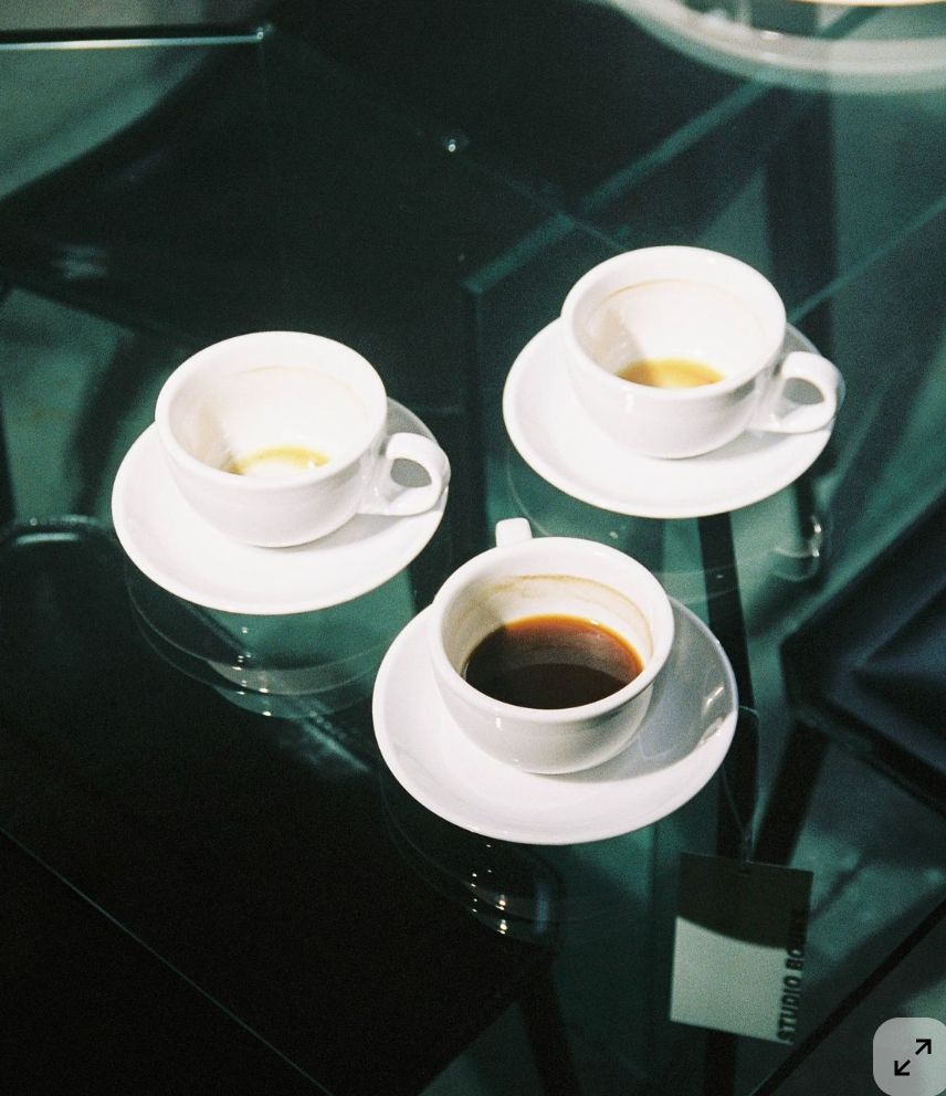 Freshly baked Margherita pizza with melted cheese, tomato sauce, and basil leaves, held by a person’s hand.
