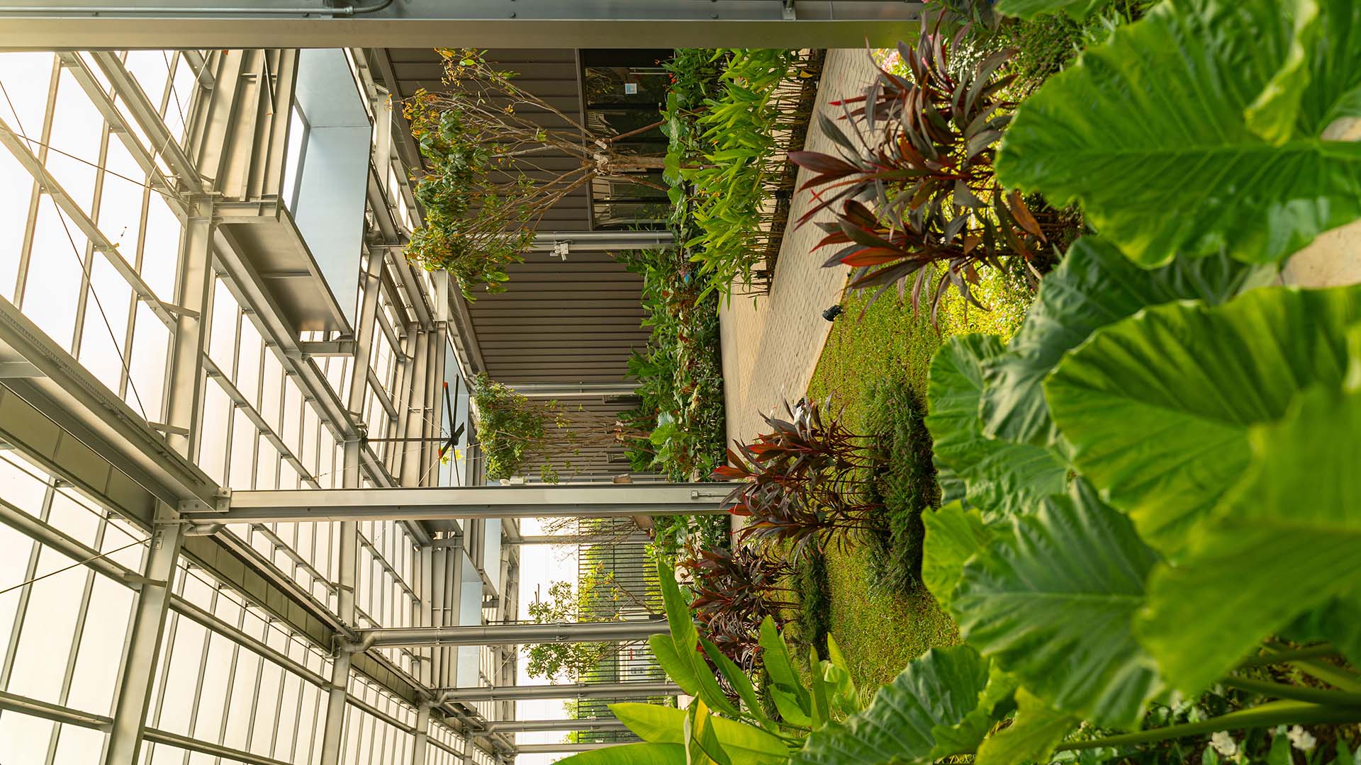 A central courtyard or atrium, showcasing its light-filtering slatted roof and integrated greenery.