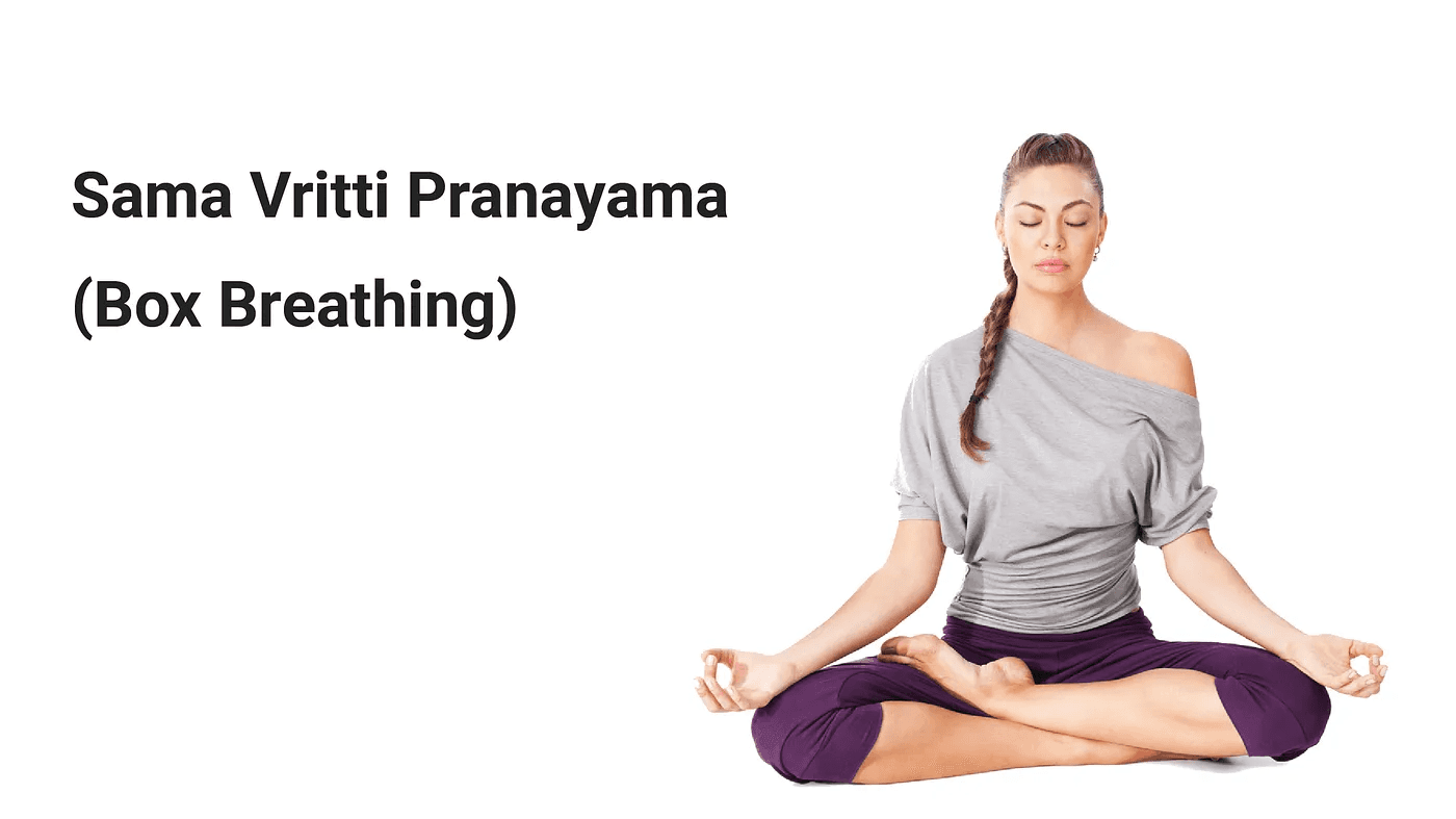 Yoga breathing technique Sama Vritti Pranayama for stress relief and relaxation.