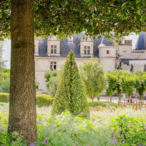 Château Royal d'Amboise / Gardens