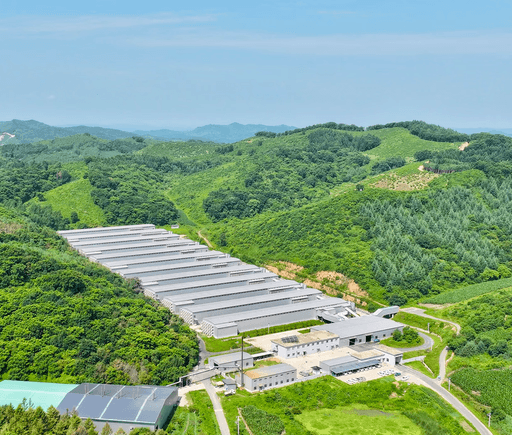 Egg-laying chicken farm, Liaoyuan, Jilin