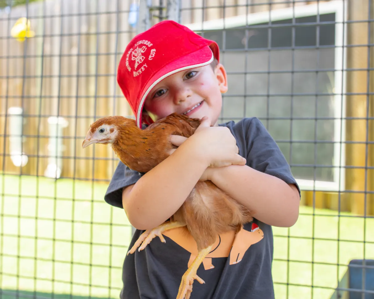 Smiling child wearing a red hat holding a chicken during animal learning time at Kaleidoscope Kids Booval childcare centre.