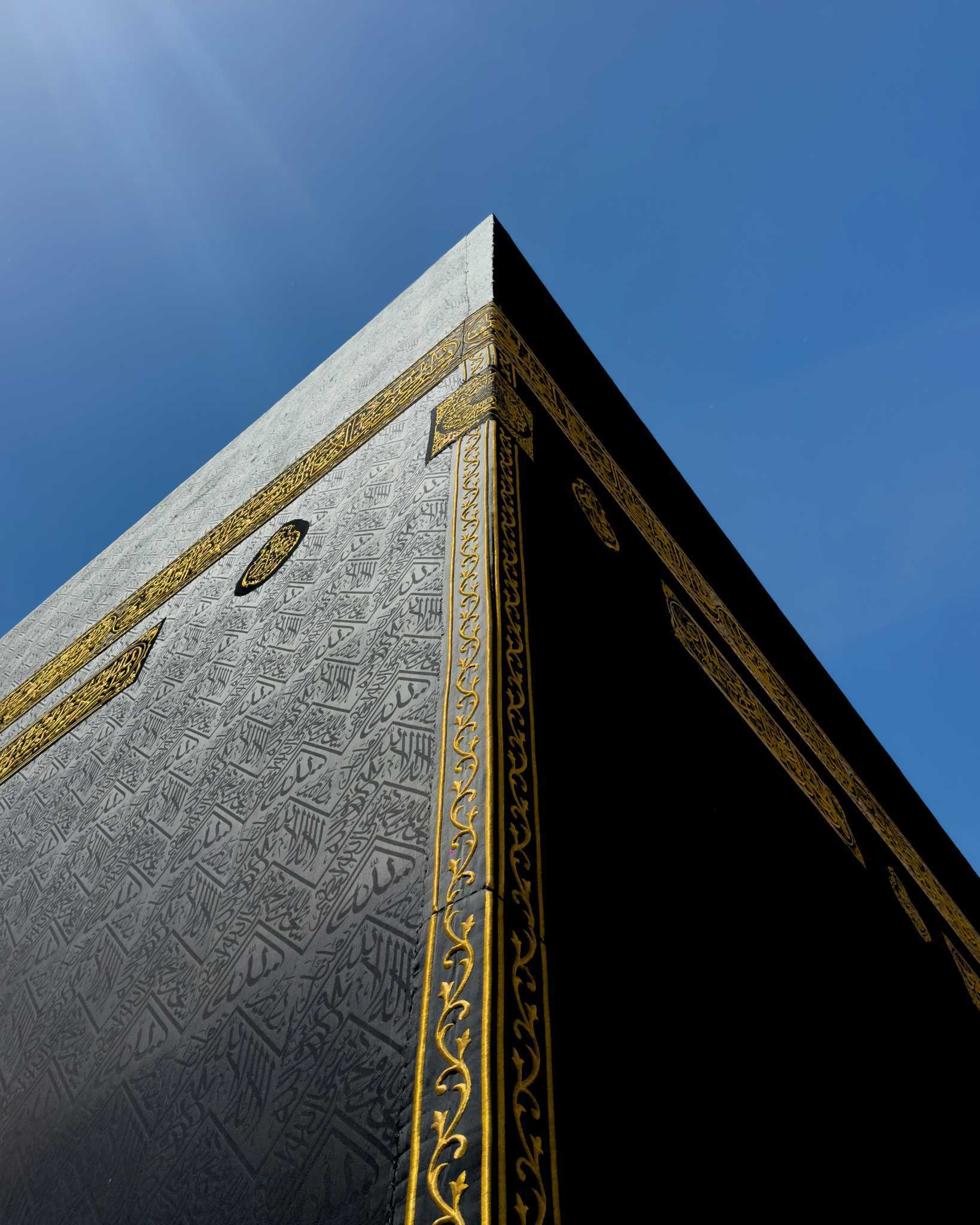 Landscape with a vineyard in rows leading to a building with a tower, rolling hills in the distance.
