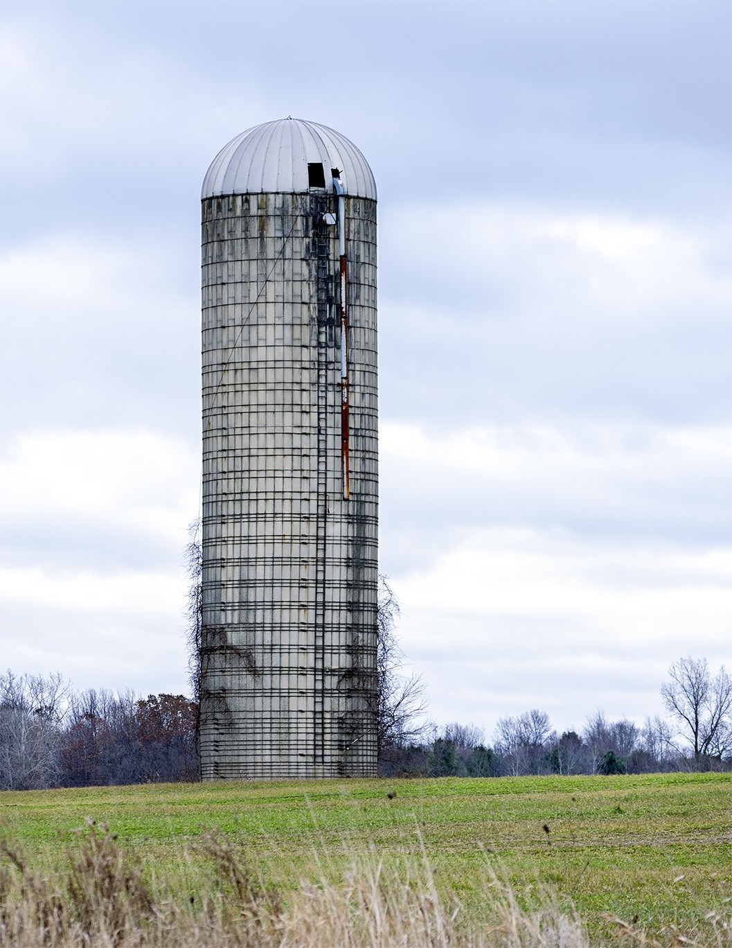Blackmer Silo