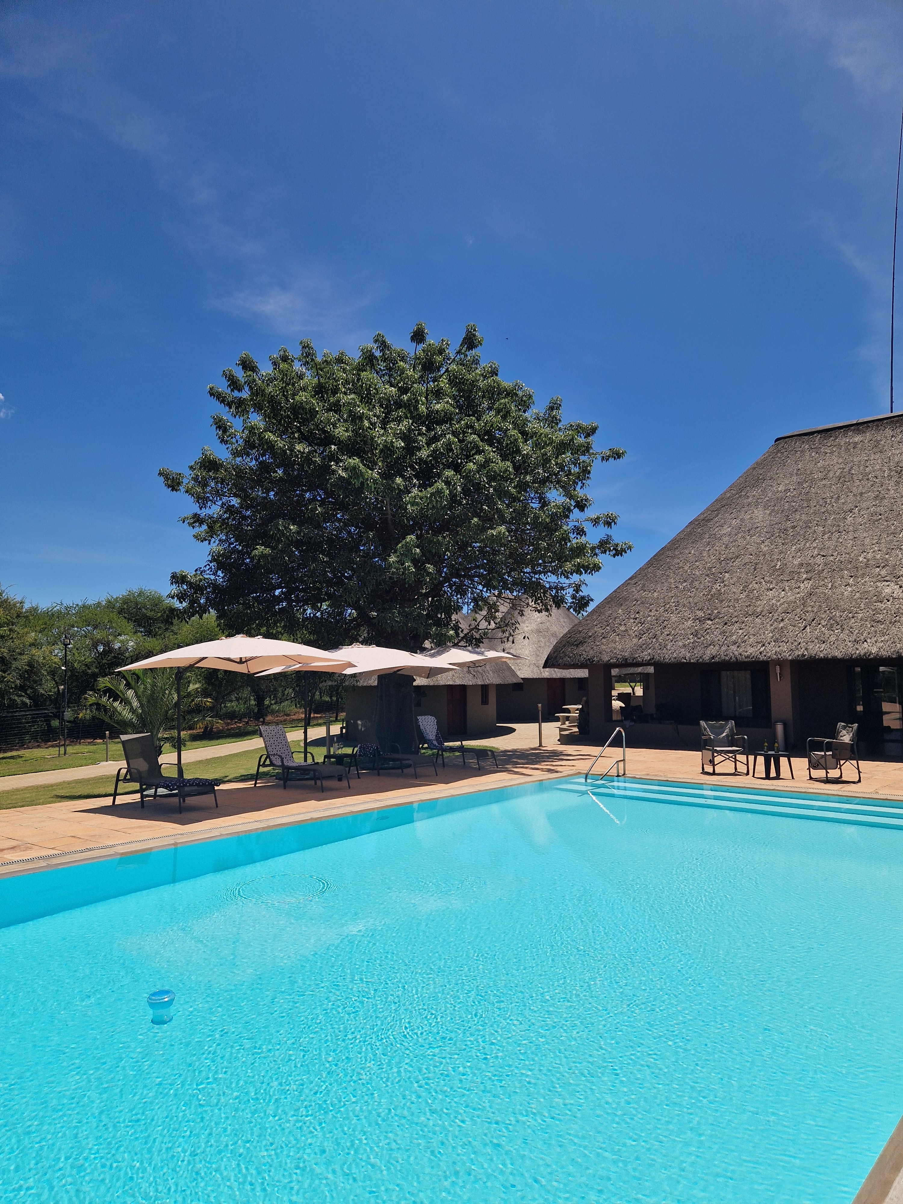 Kilimanjaro Elephant Ride, Arusha National Park, Tanzania – elefant i högt gräs tittar mot kameran, medan fem ryttare till häst på ridsafari i bakgrunden betraktar elefanten i ett grönt och frodigt landskap.