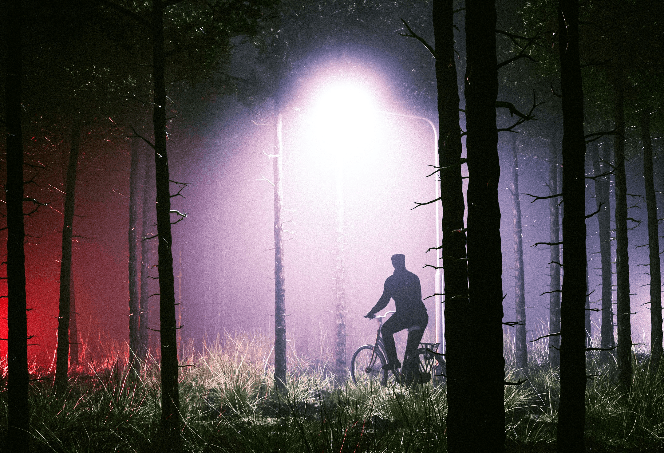 Ein Mann fährt nachts mit dem Fahrrad durch einen Wald