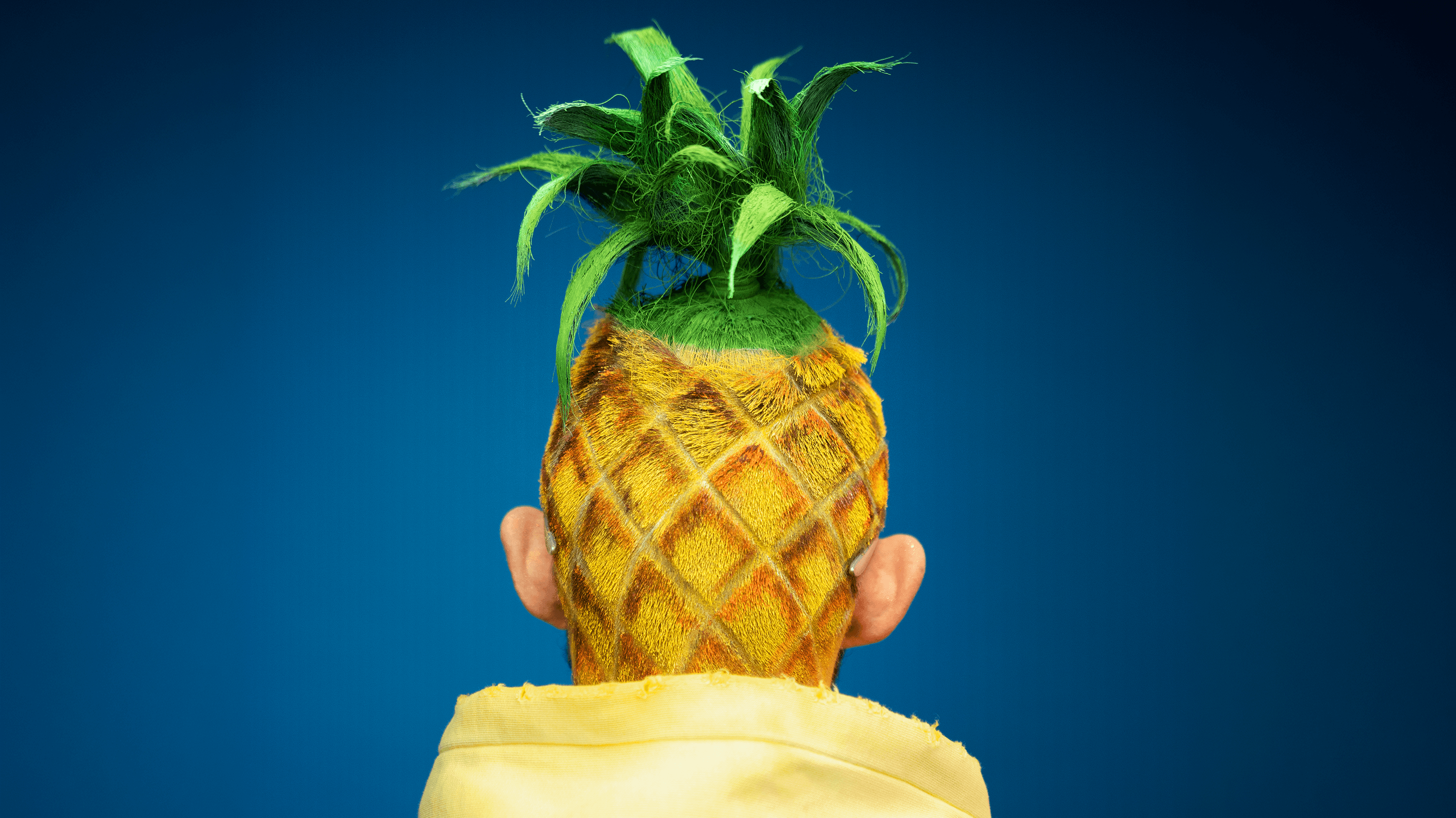 Person with pineapple-inspired hairstyle and fashion styling photographed against a blue studio background for ALDI Nord’s nutrition campaign.