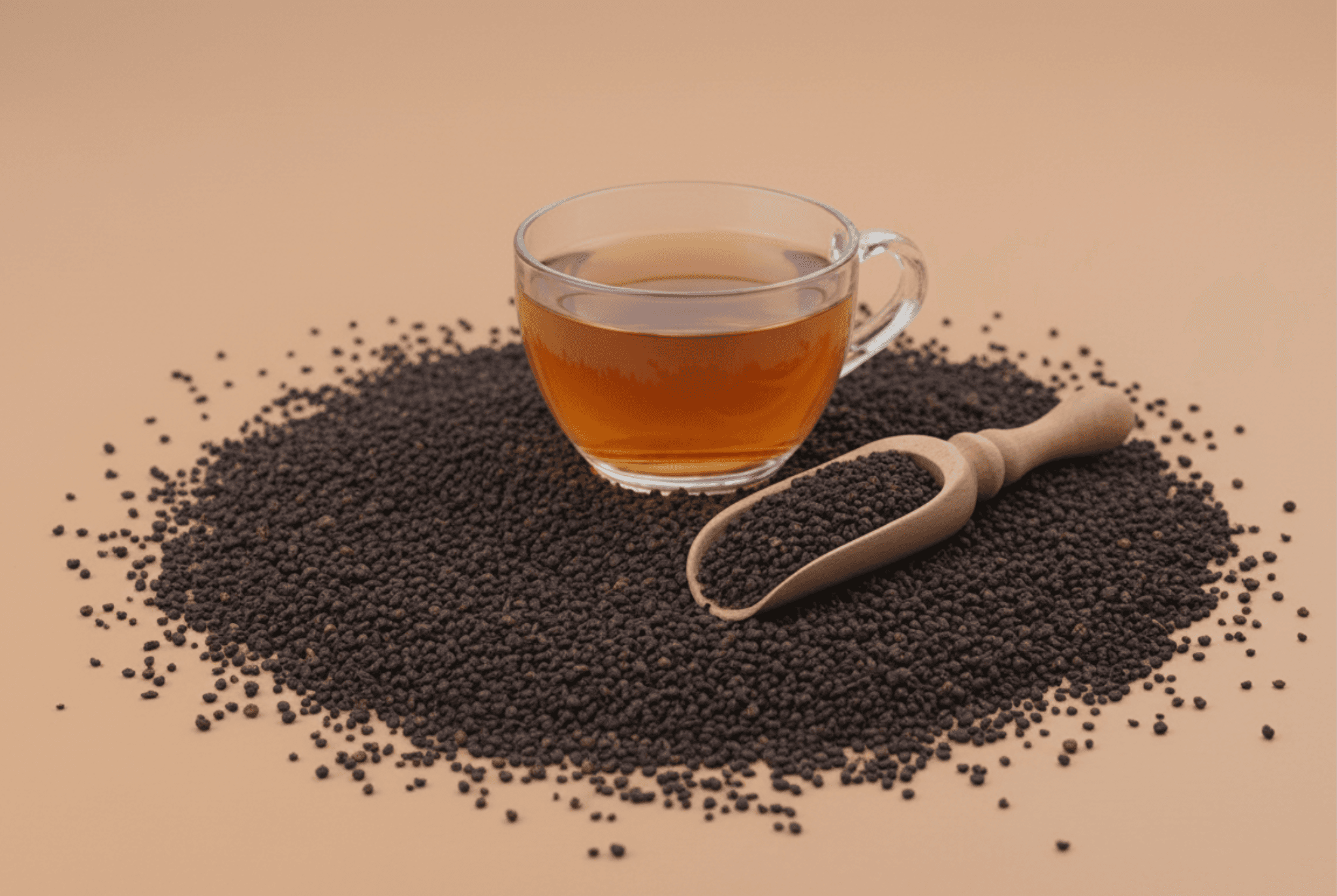 black and white butterfly on green leaf during daytime