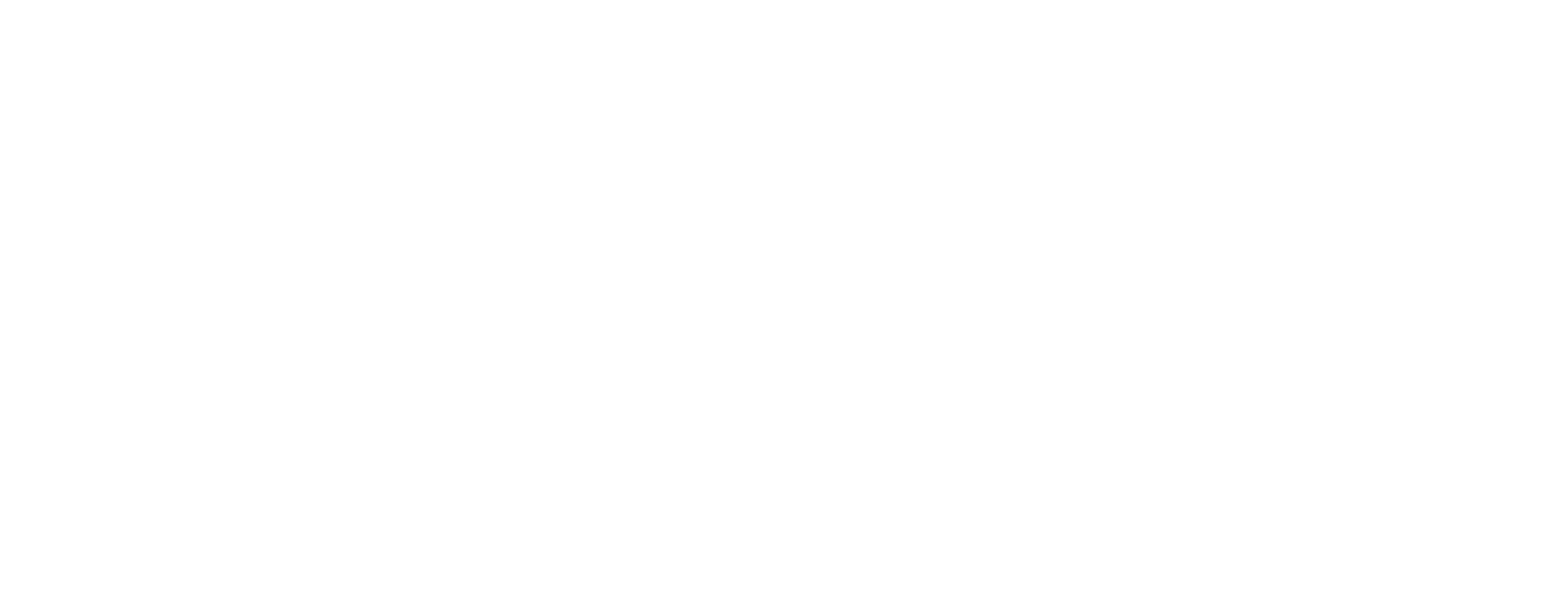 Nietzsche Logo