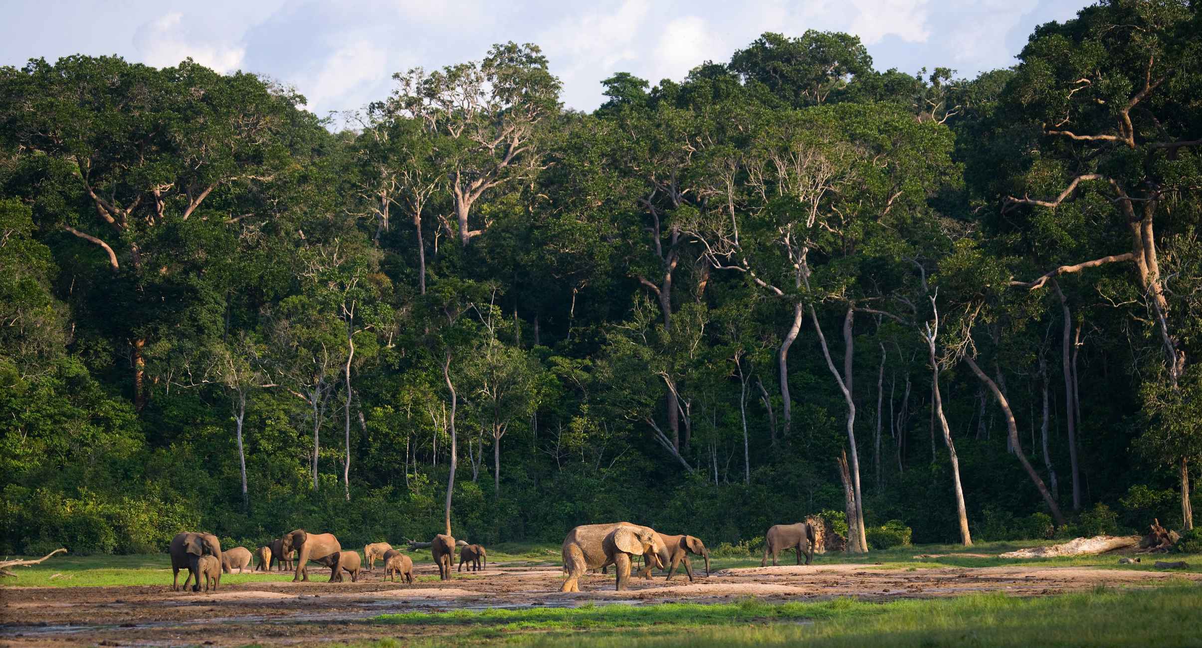 Taronga Zoo