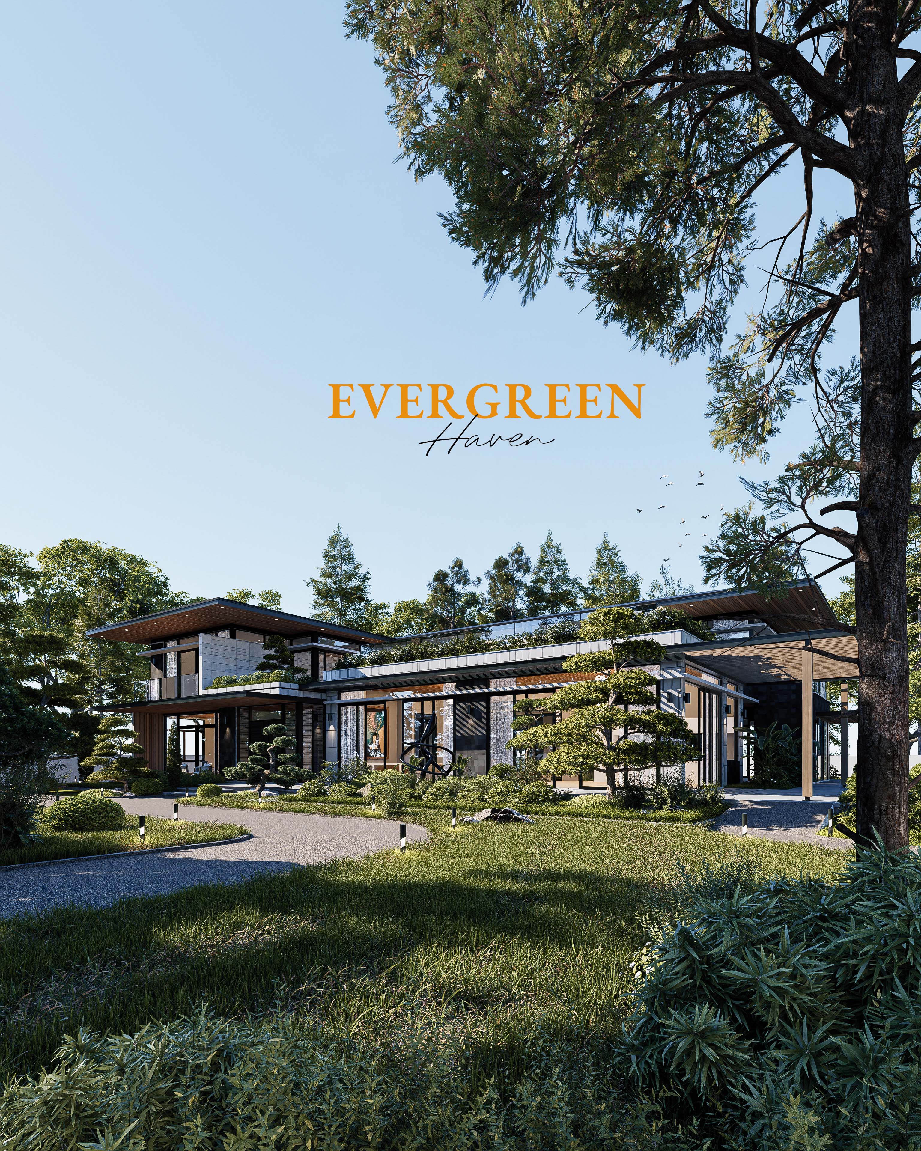 Evergreen Haven