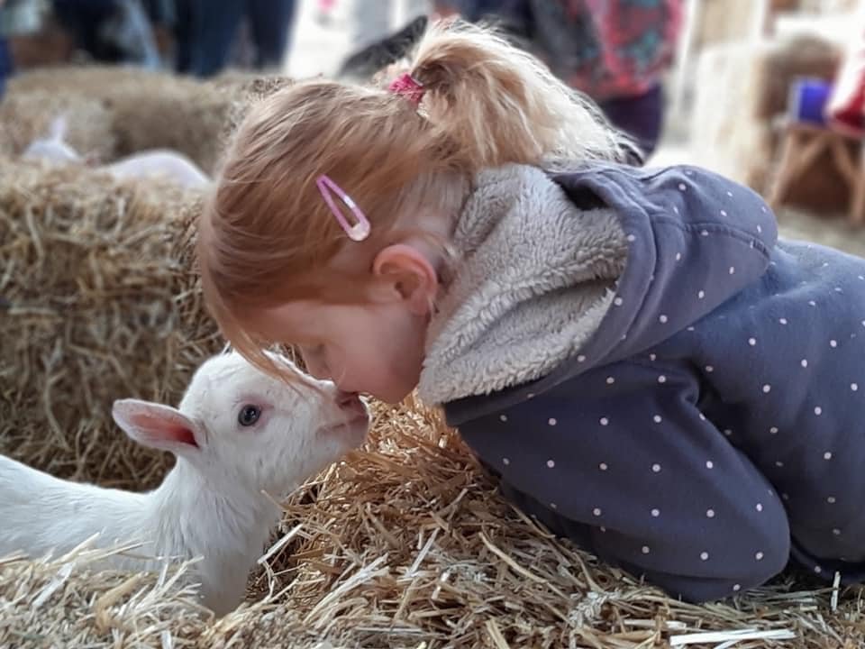 Meisje wat geitje een kus geeft