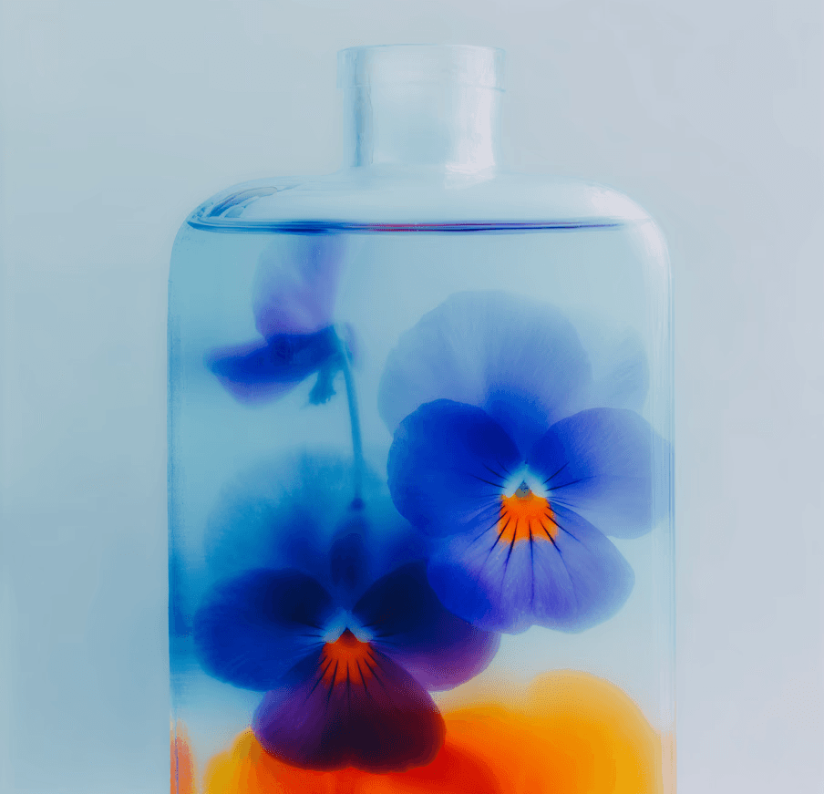 Pansies in glass bottle