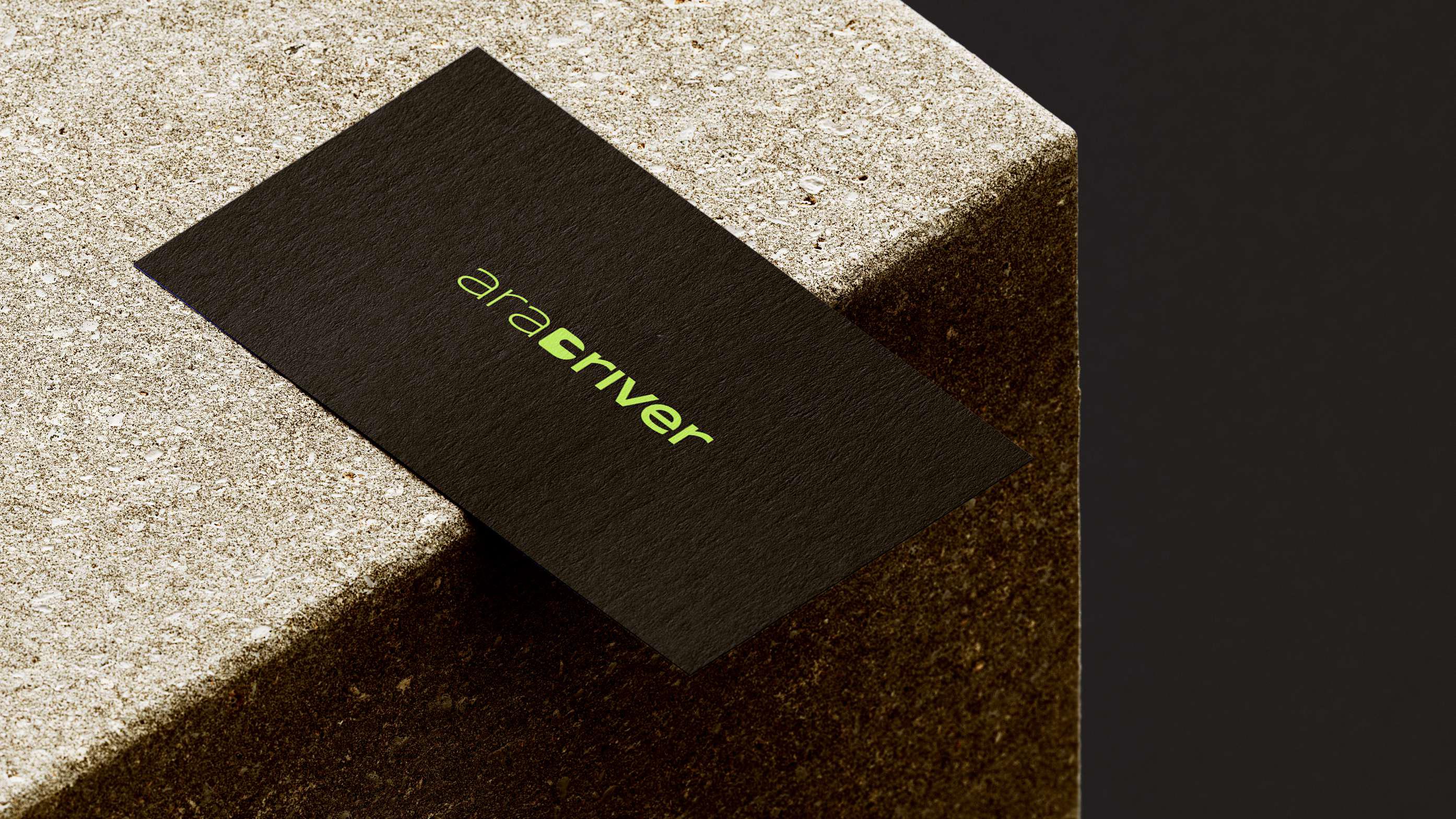 Large Project Gallery Image #4