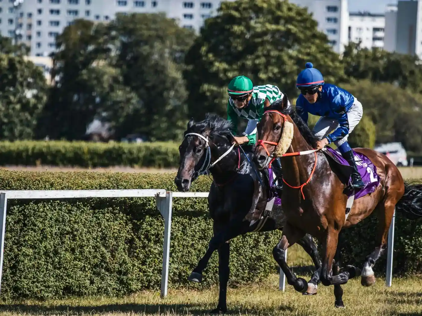 Horse Racing Ireland Bus Hire Dublin