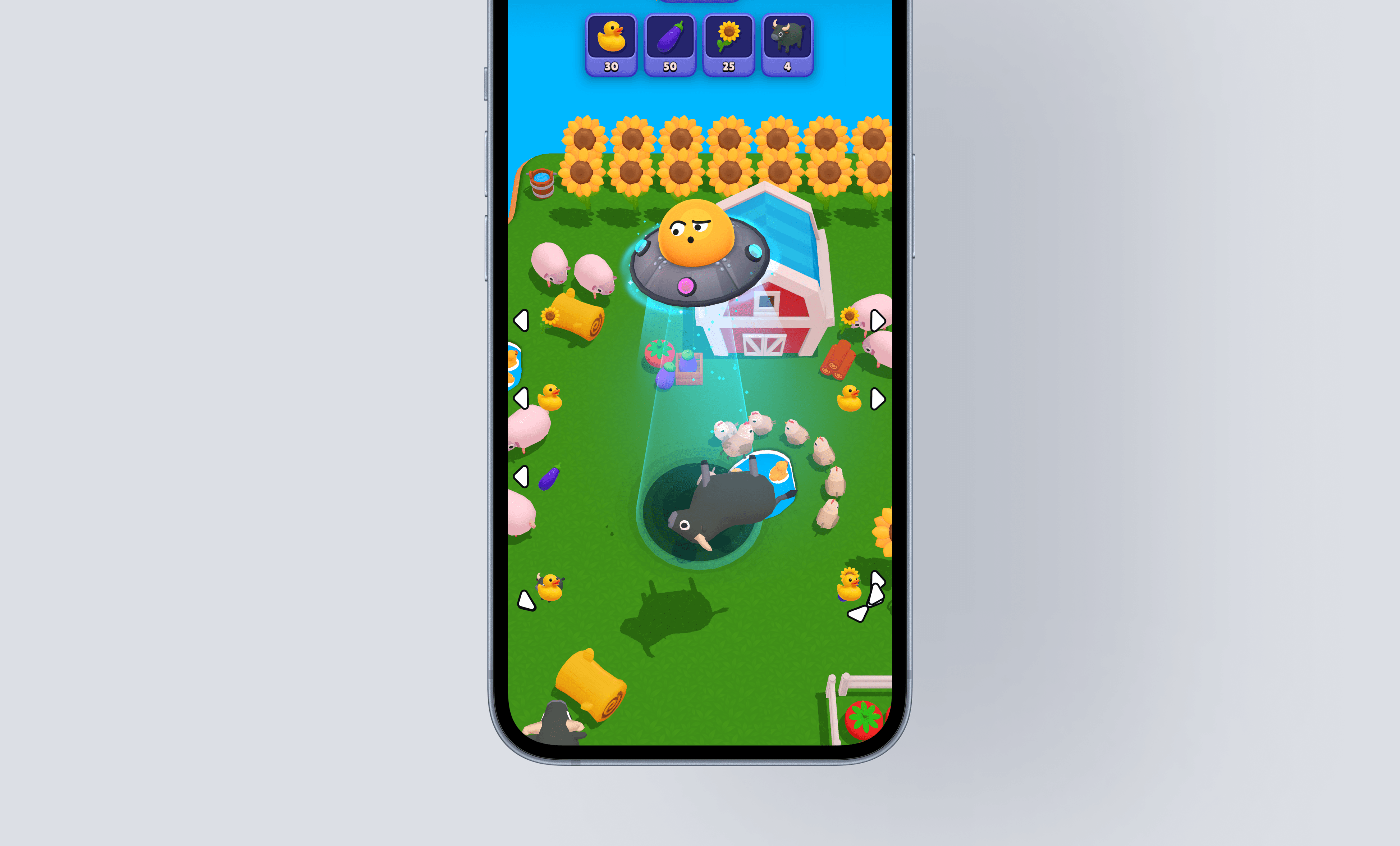 Large Project Gallery Image #2