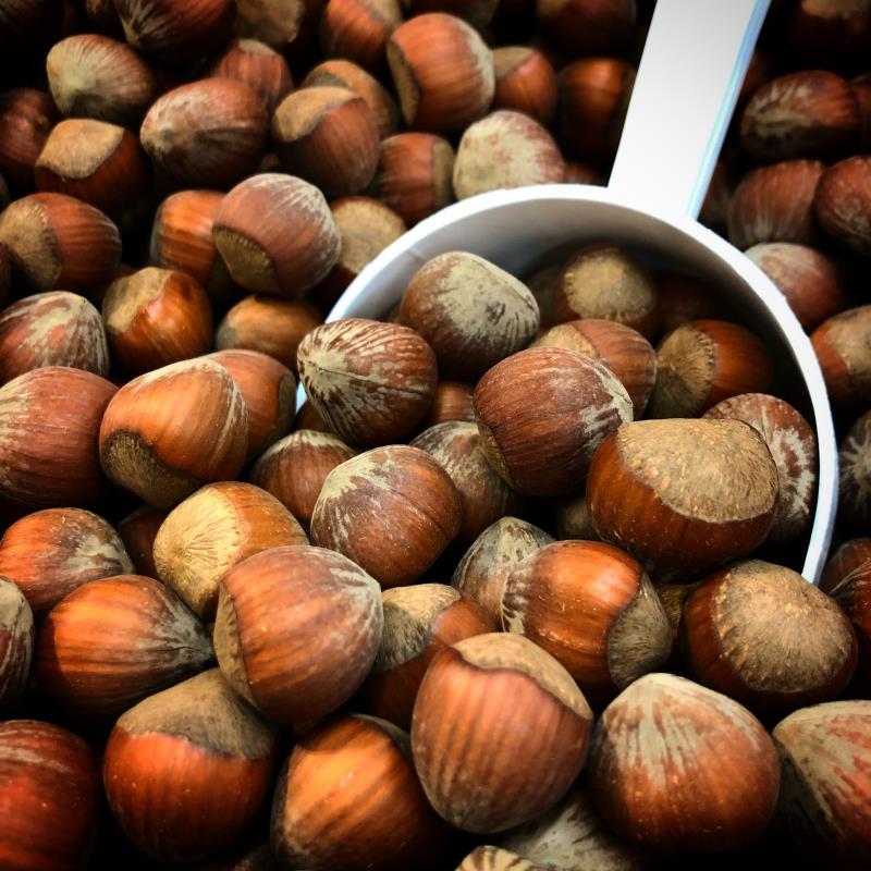 Nocciole con guscio