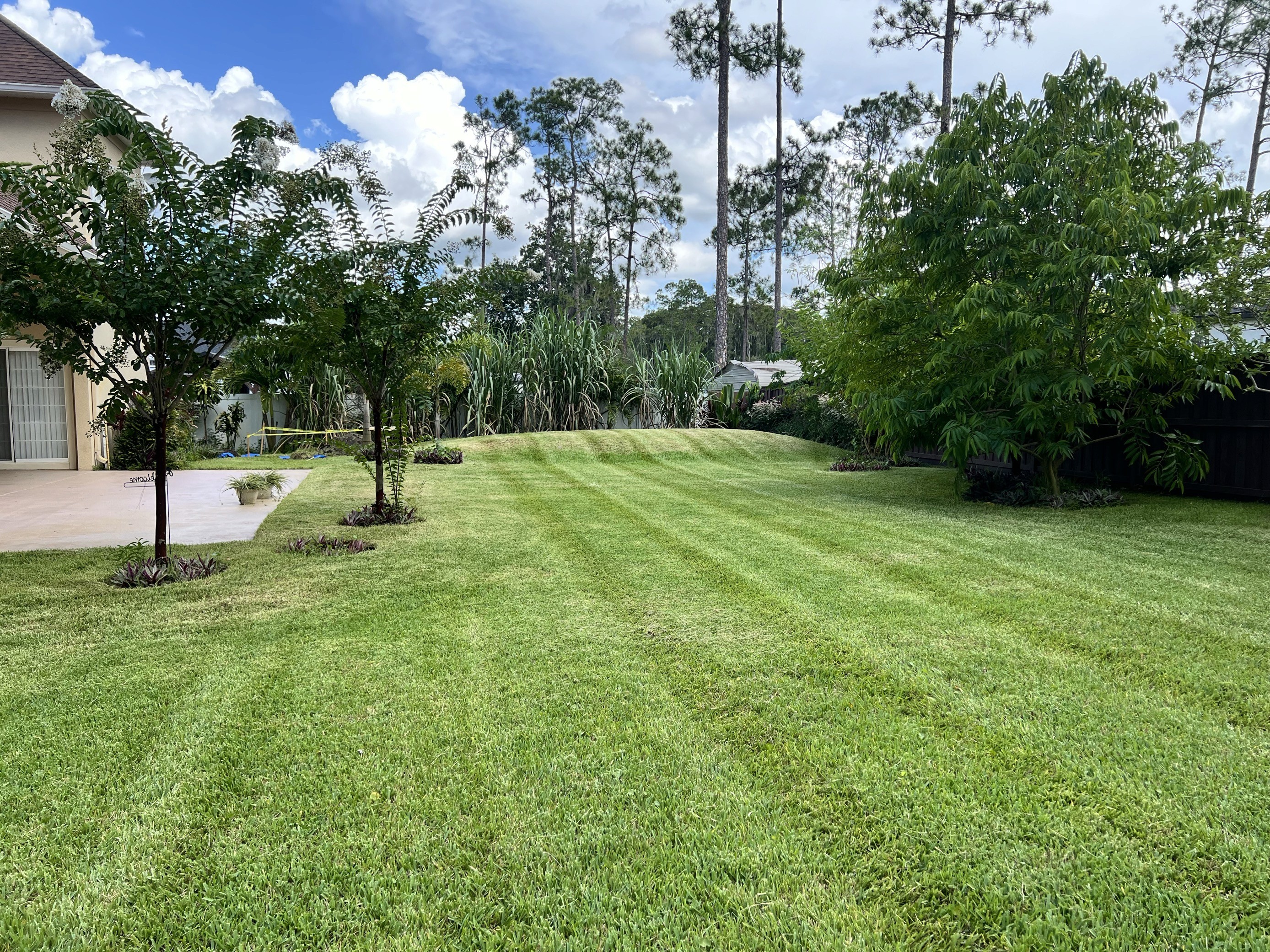 Before and after lawn care service Orange County FL