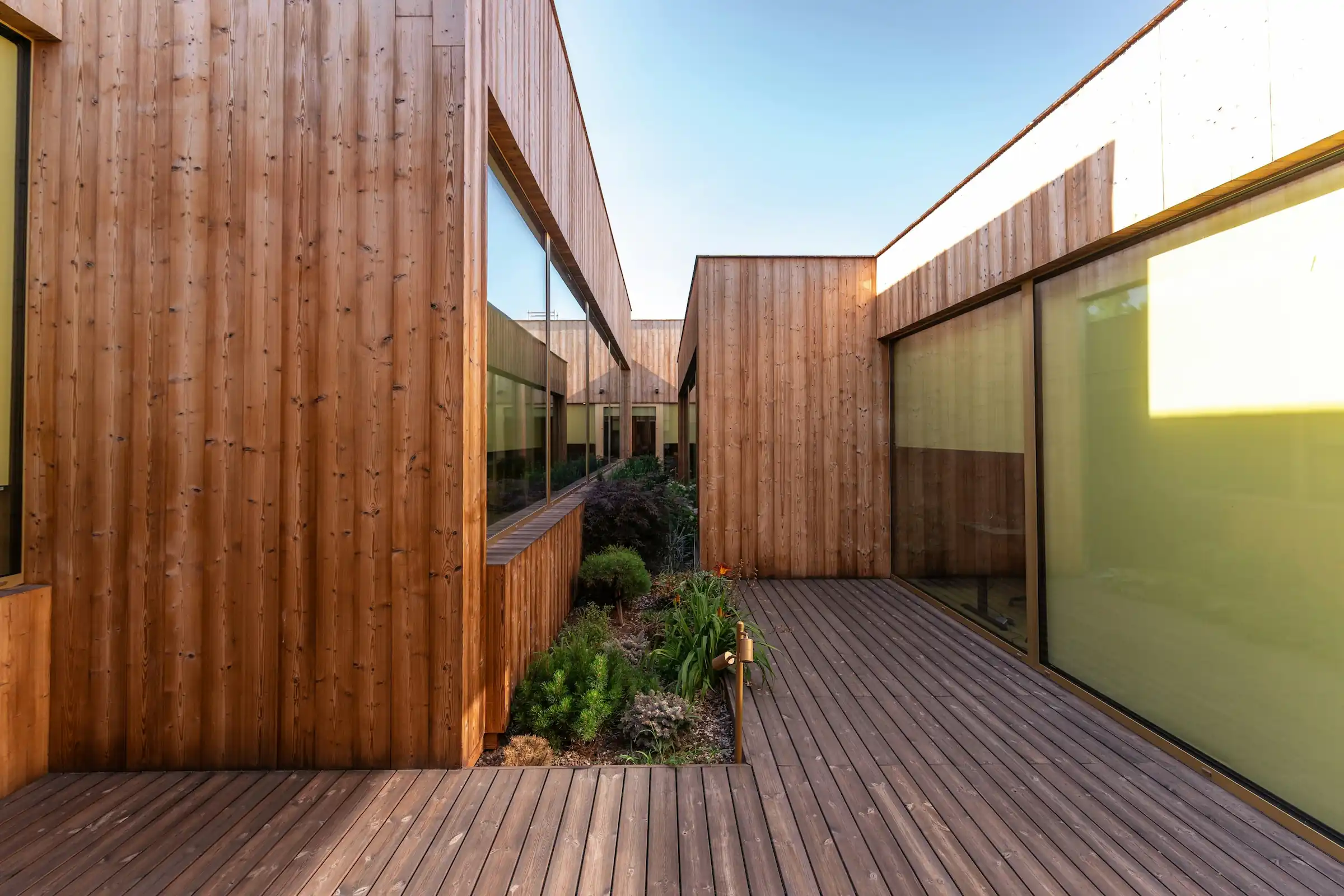 Contemporary wooden architecture featuring natural cedar cladding and floor-to-ceiling glazing