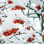 Atsiliepimas apie paslaugas