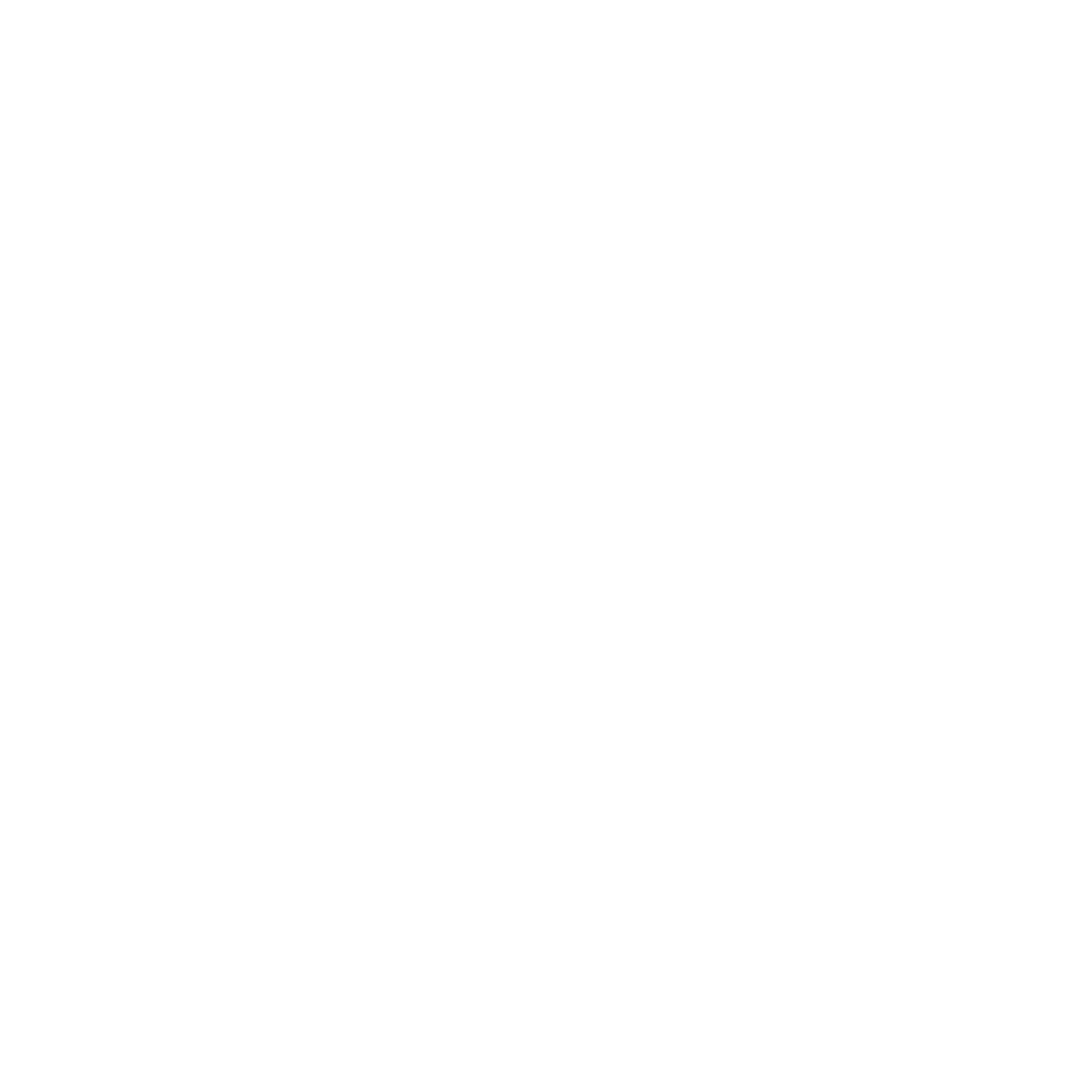 New Balance Company Logo