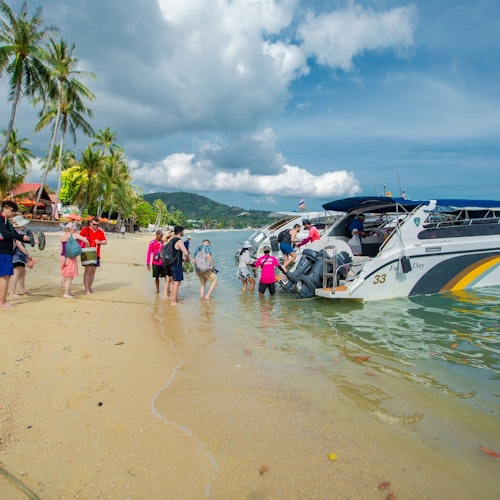 Begin the adventure with convenient hotel pickup for a smooth start.