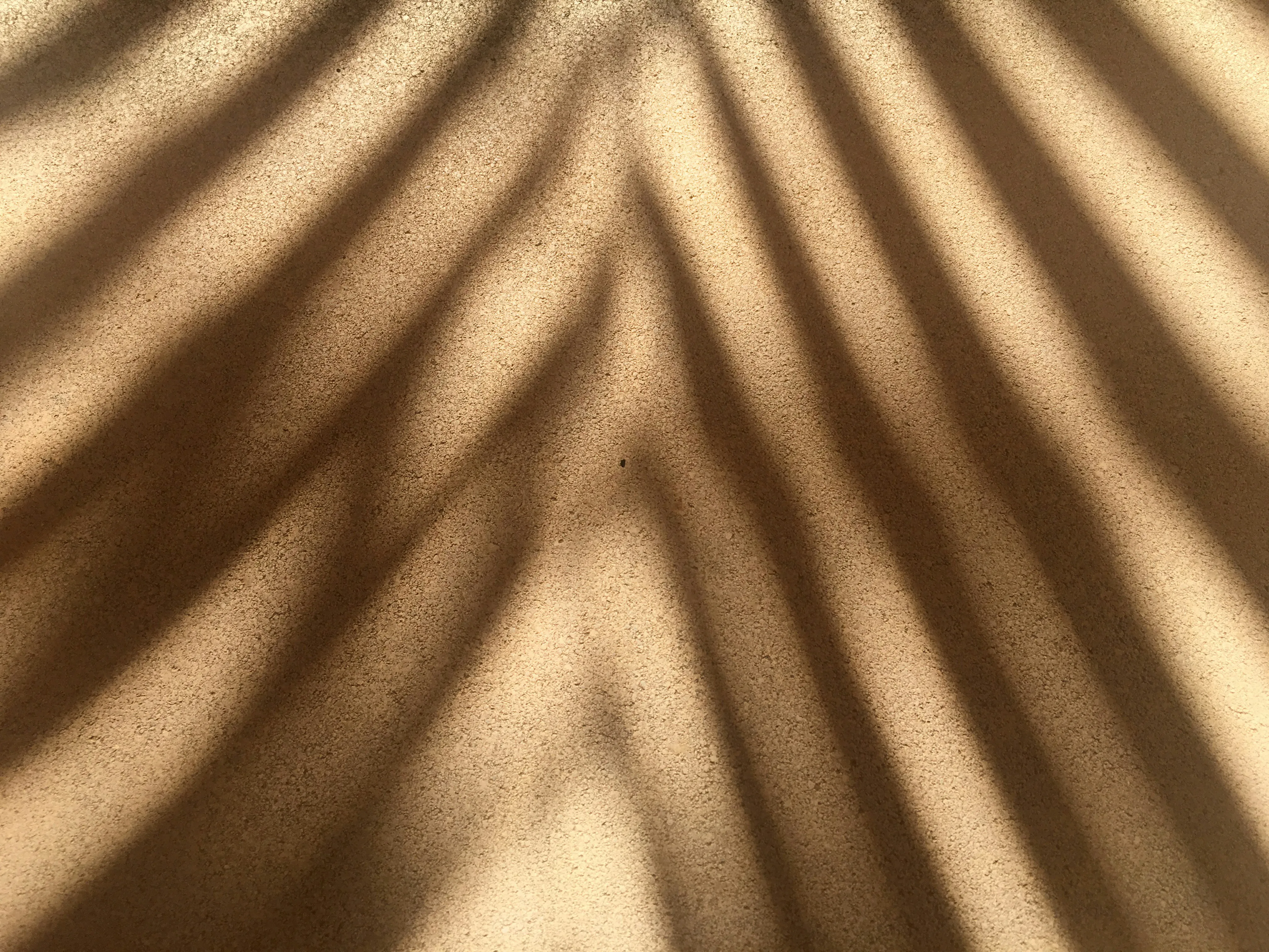 Shadow of palm leaves on a textured surface.