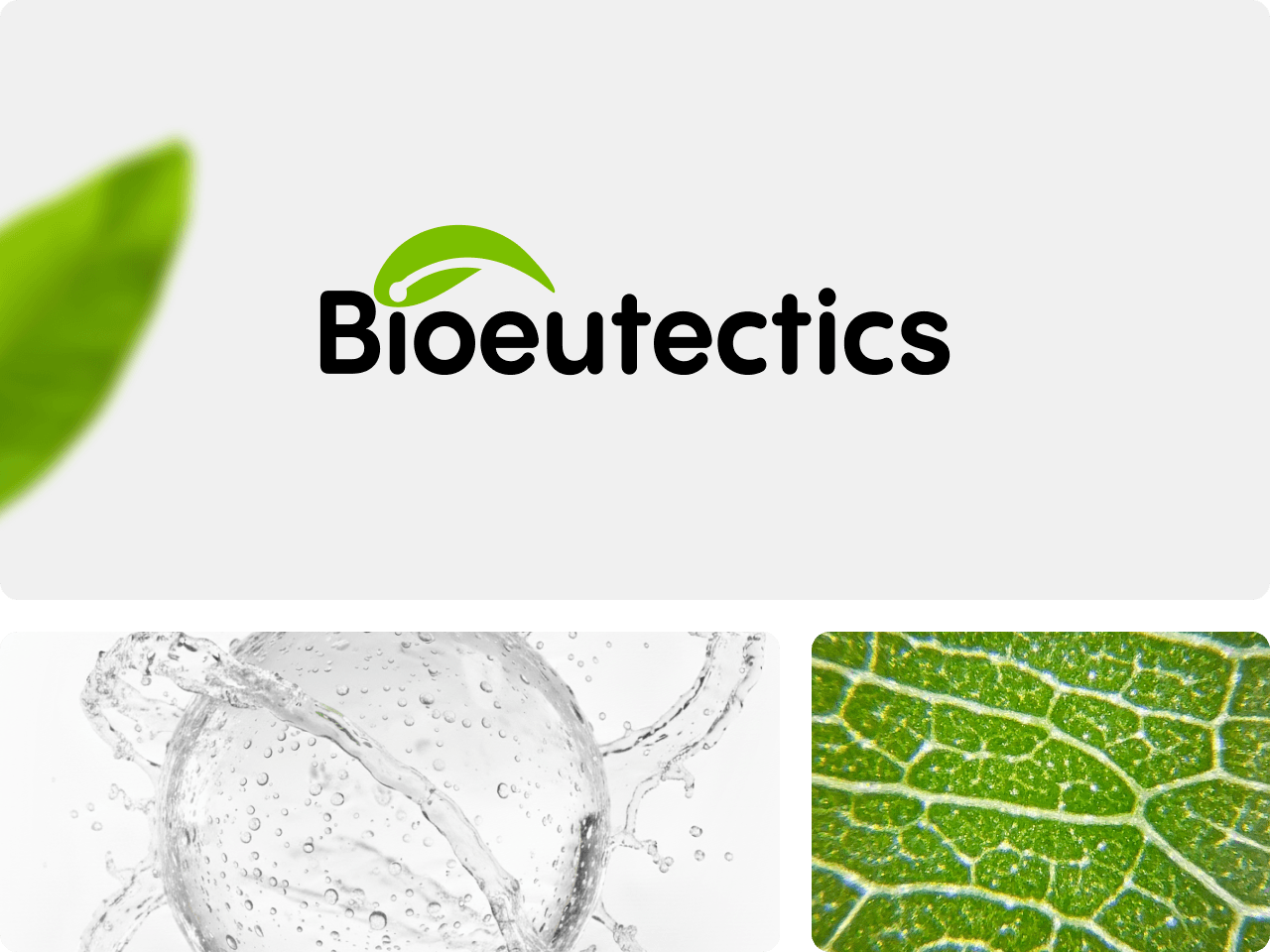 Bioeutectics logo with green leaf elements.