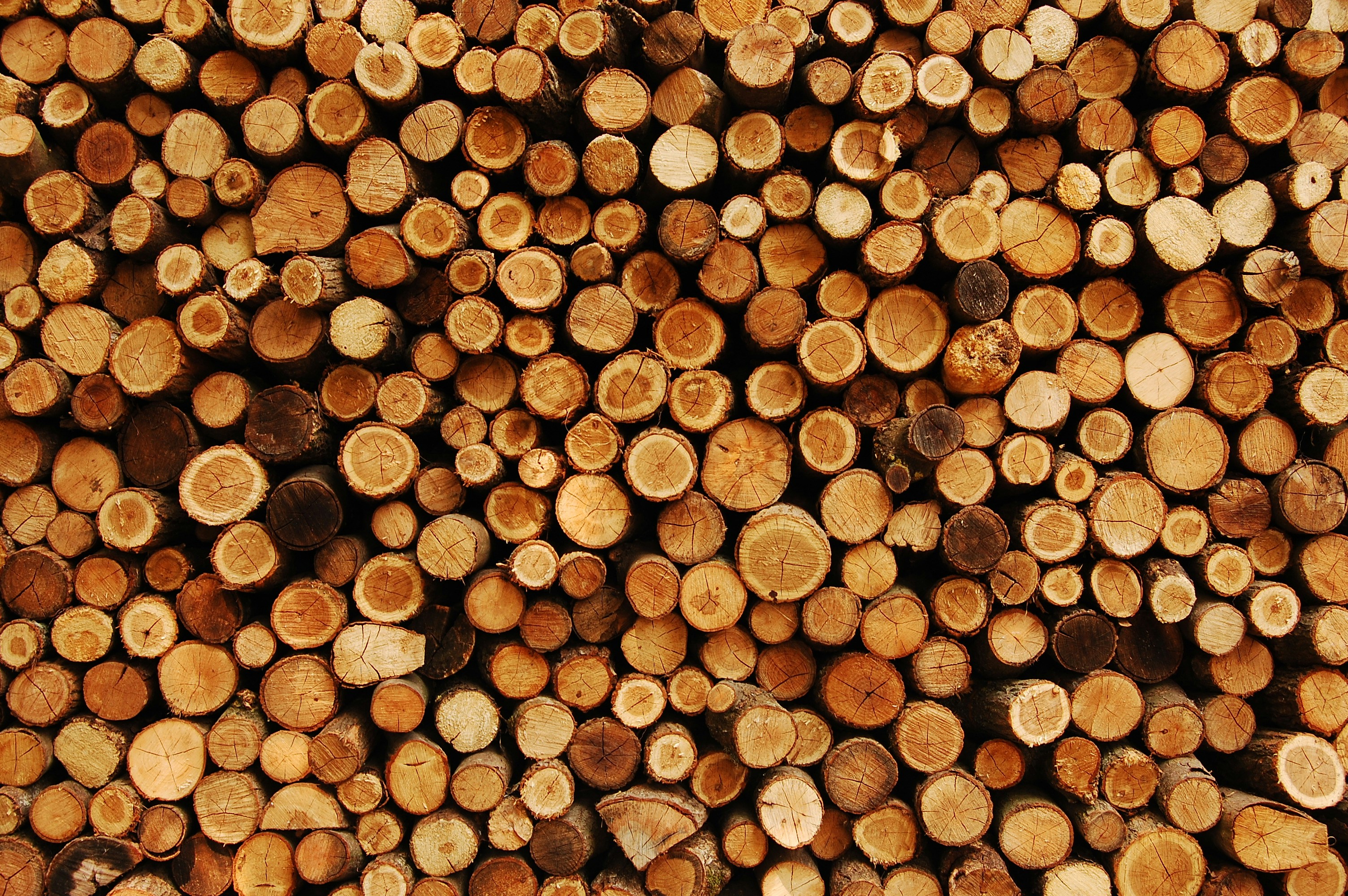 a pile of small brown objects