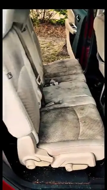 Before Interior