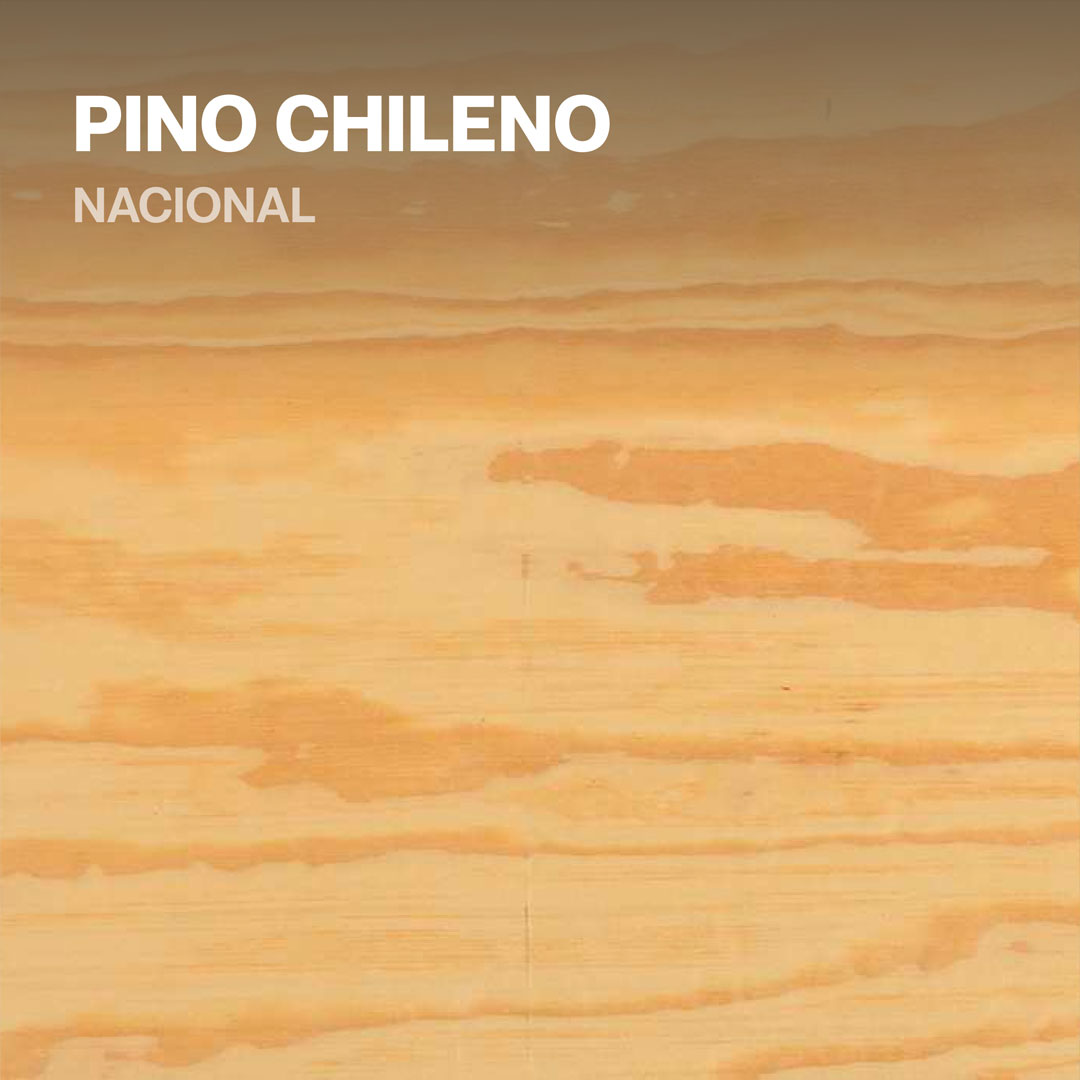 La Madera de Pino Chileno es muy apreciada en la industria maderera por su resistencia, durabilidad y facilidad de trabajo. Es frecuentemente utilizada en la fabricación de muebles, molduras, pisos, puertas, ventanas y otros productos de carpintería. Disponemos de una amplia variedad de medidas y espesores.