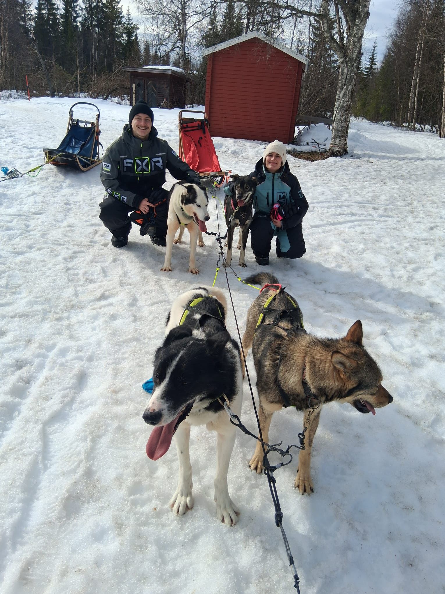 a snow covered street with houses and trees