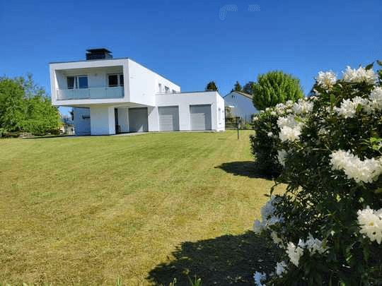 modern house with big windows