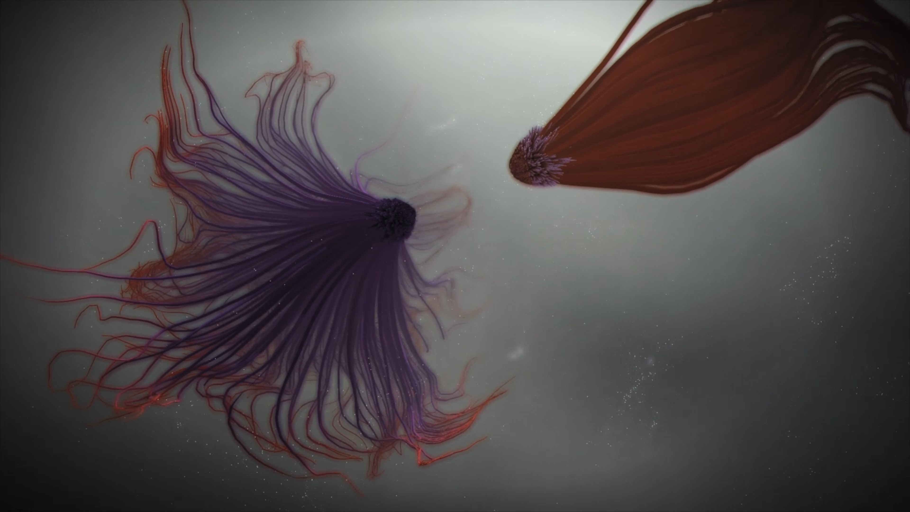 Music visualisation