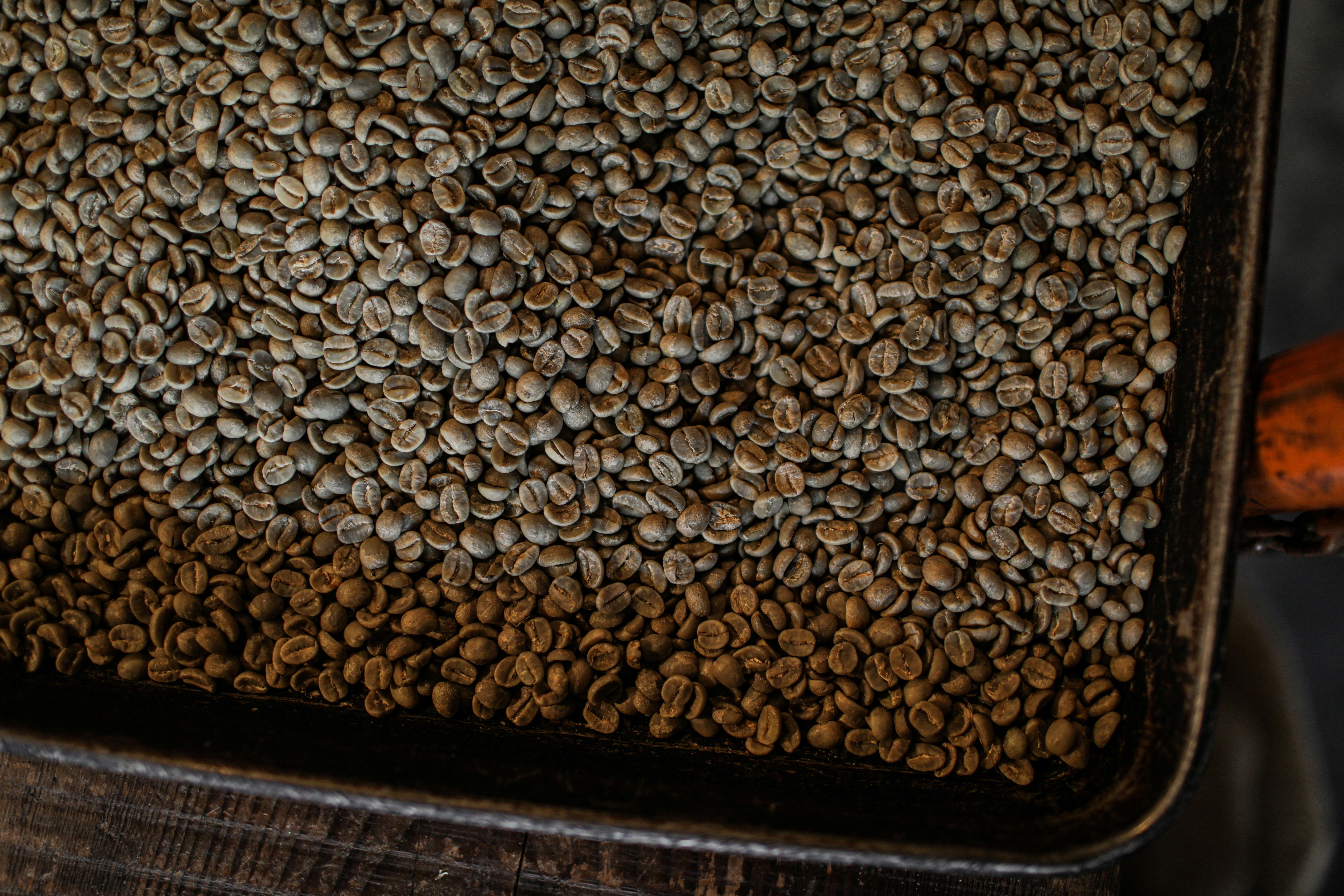 Fuji coffee beans