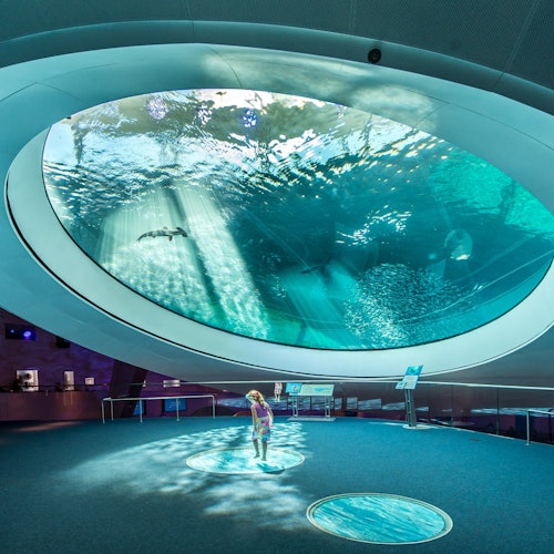 Il Profondo - Oculus