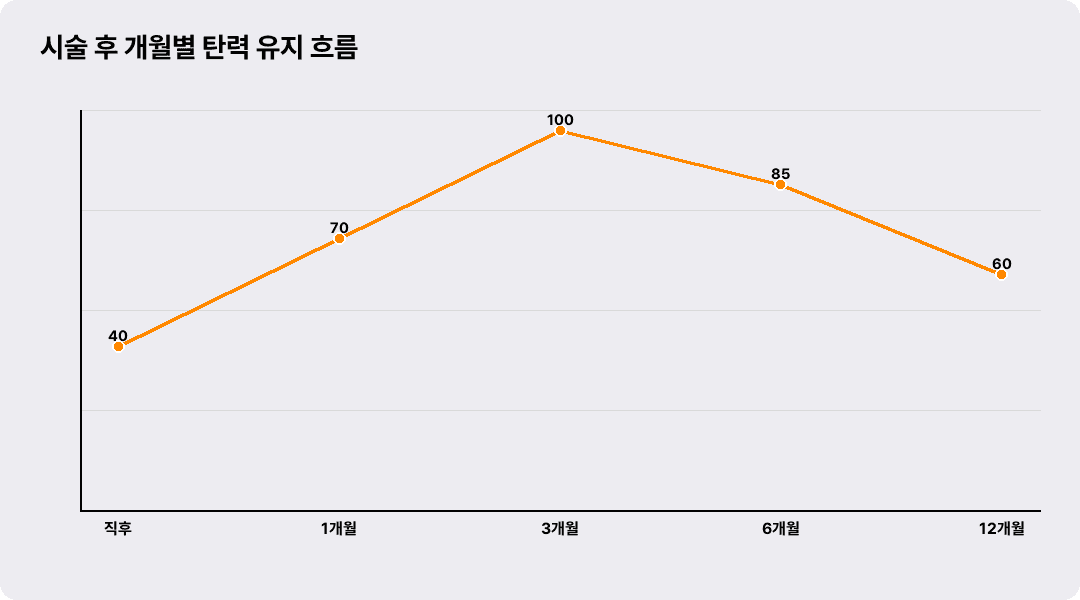 시술 후 개월별 탄력 유지 흐름