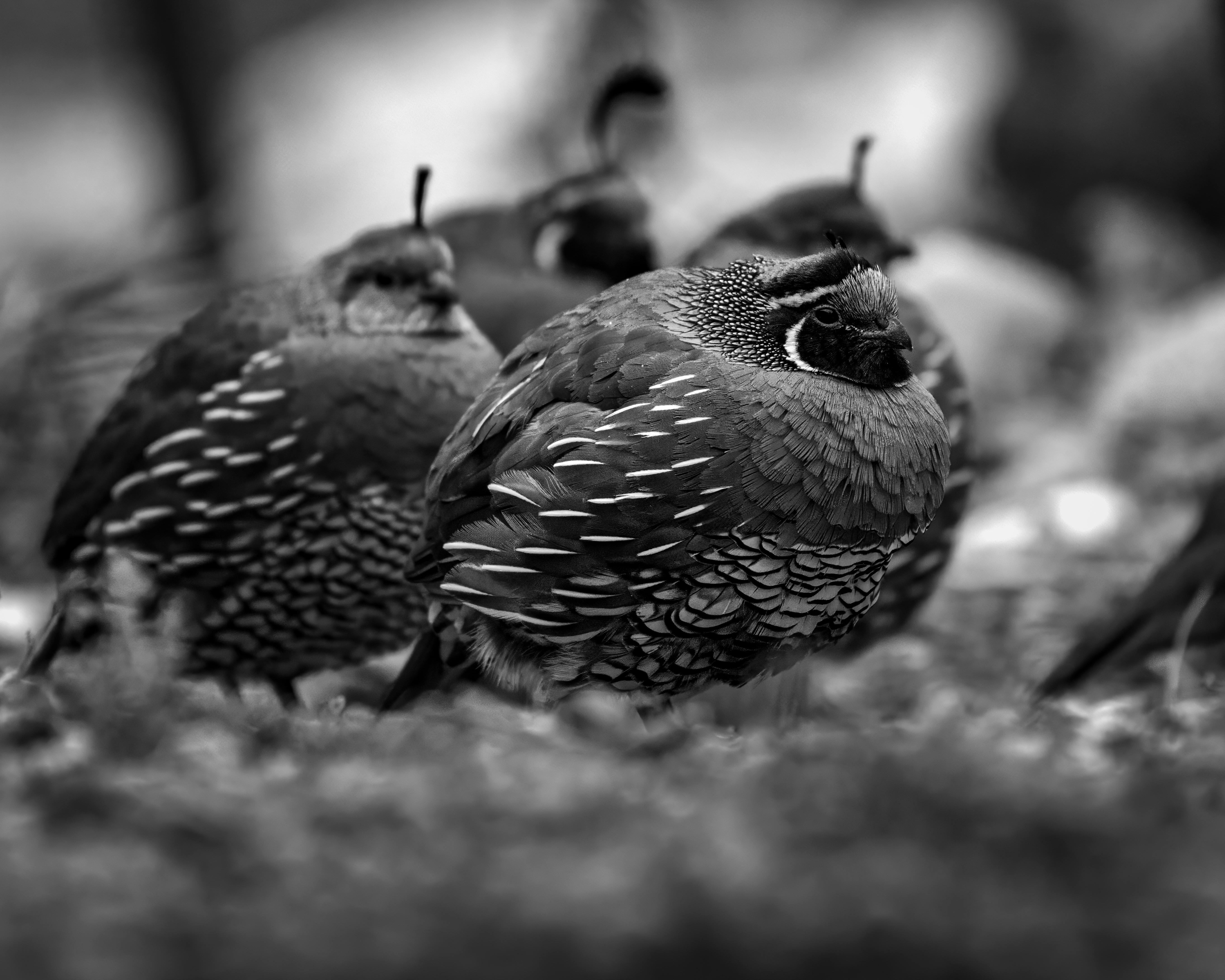 A person with glasses and a beard smiles warmly while working on a laptop at a desk. The setting is casual and relaxed, with a neutral background