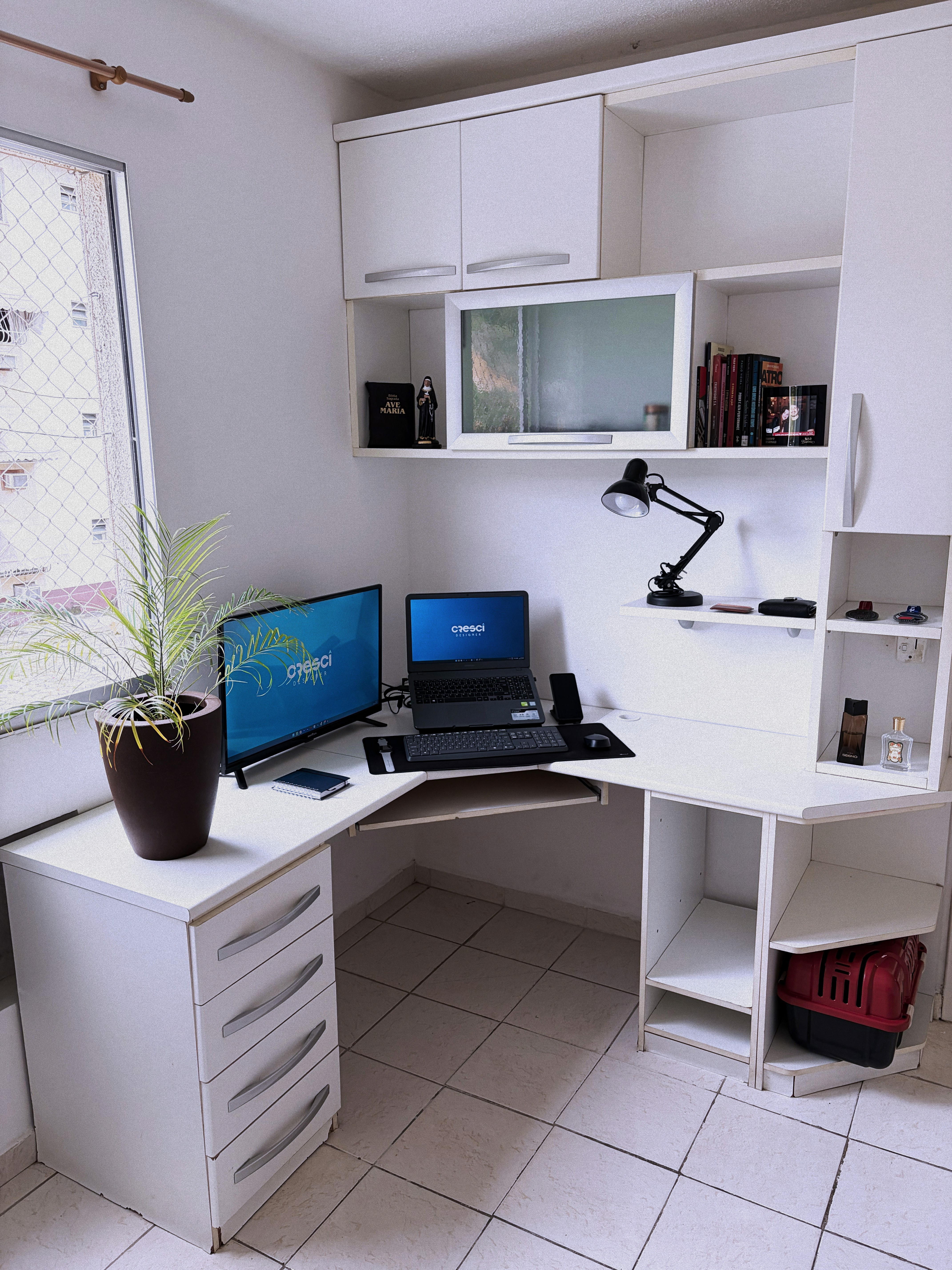 Retrato do criador deste site – parte de trás