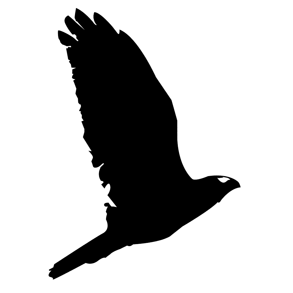 UpTempo Logo