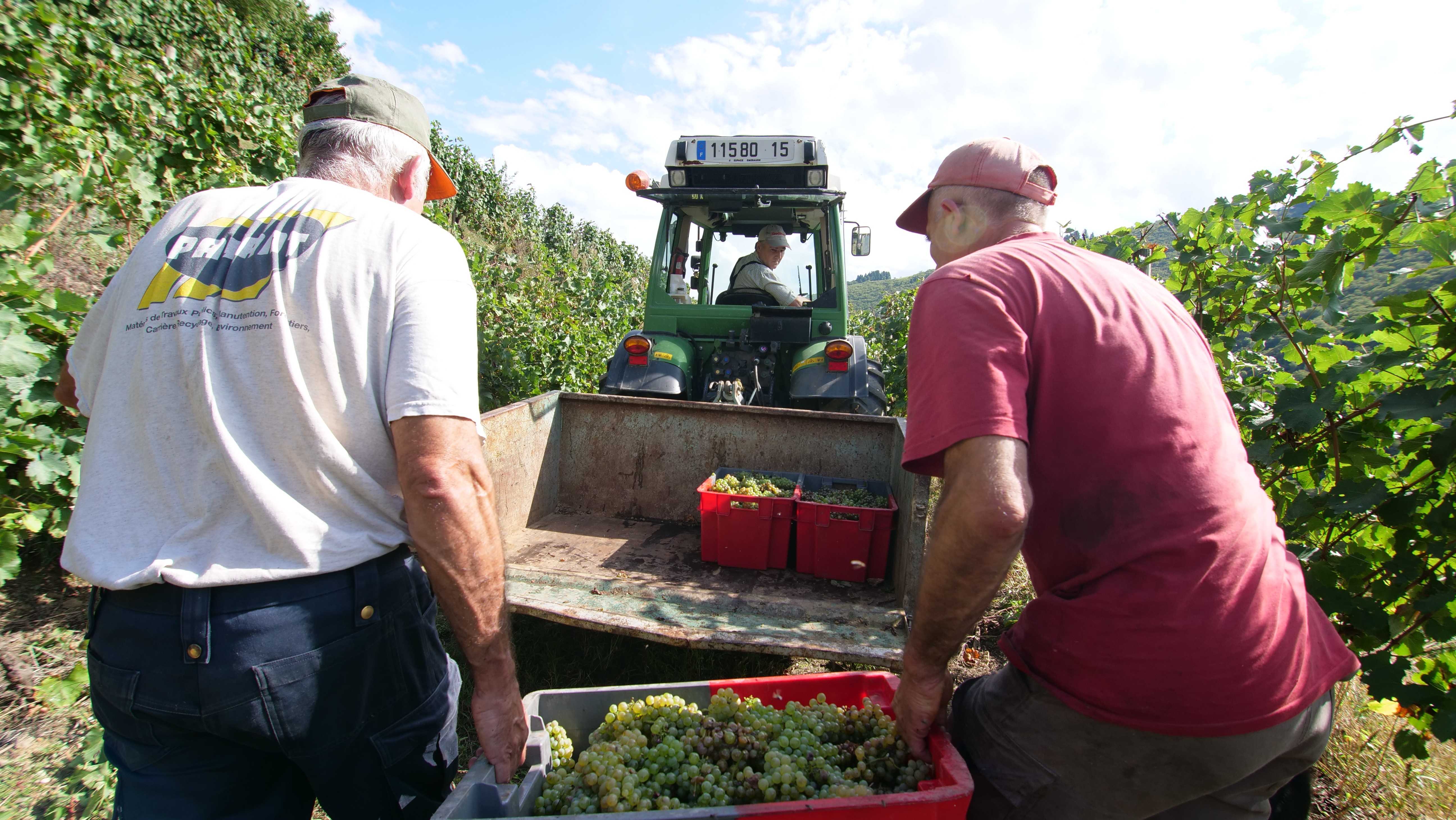 A man working in a field