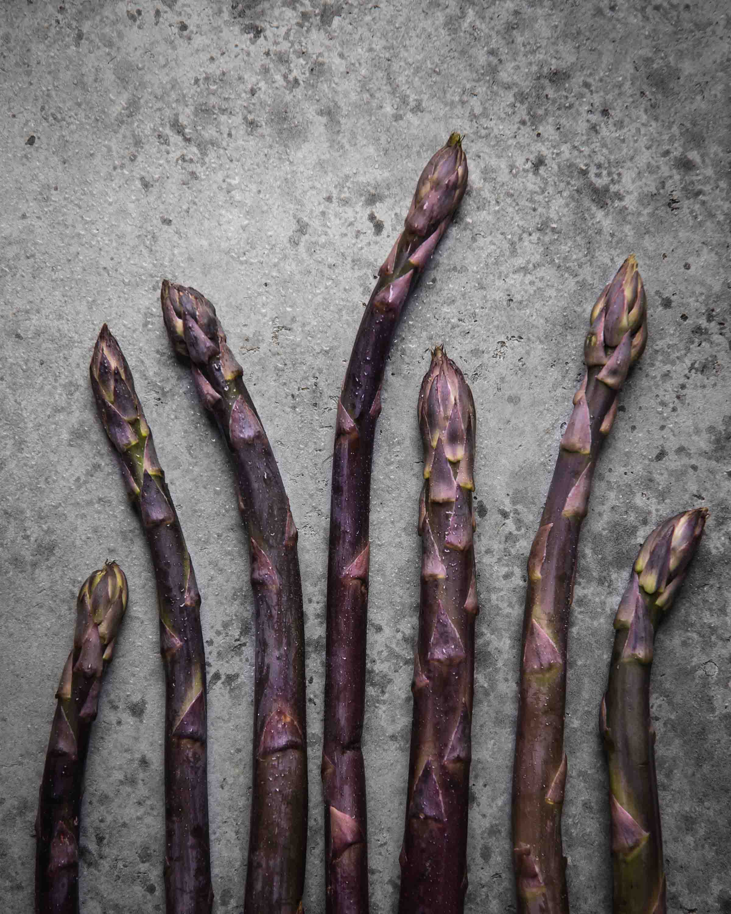 JM_Purple asparagus 