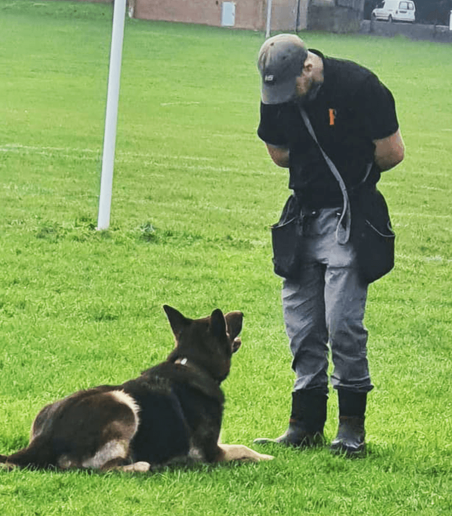 Dog trainer