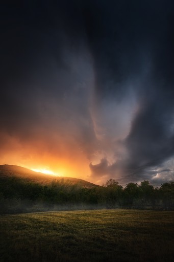 A grassy field with a tree under a starry sky