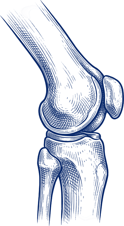 torus abstract object