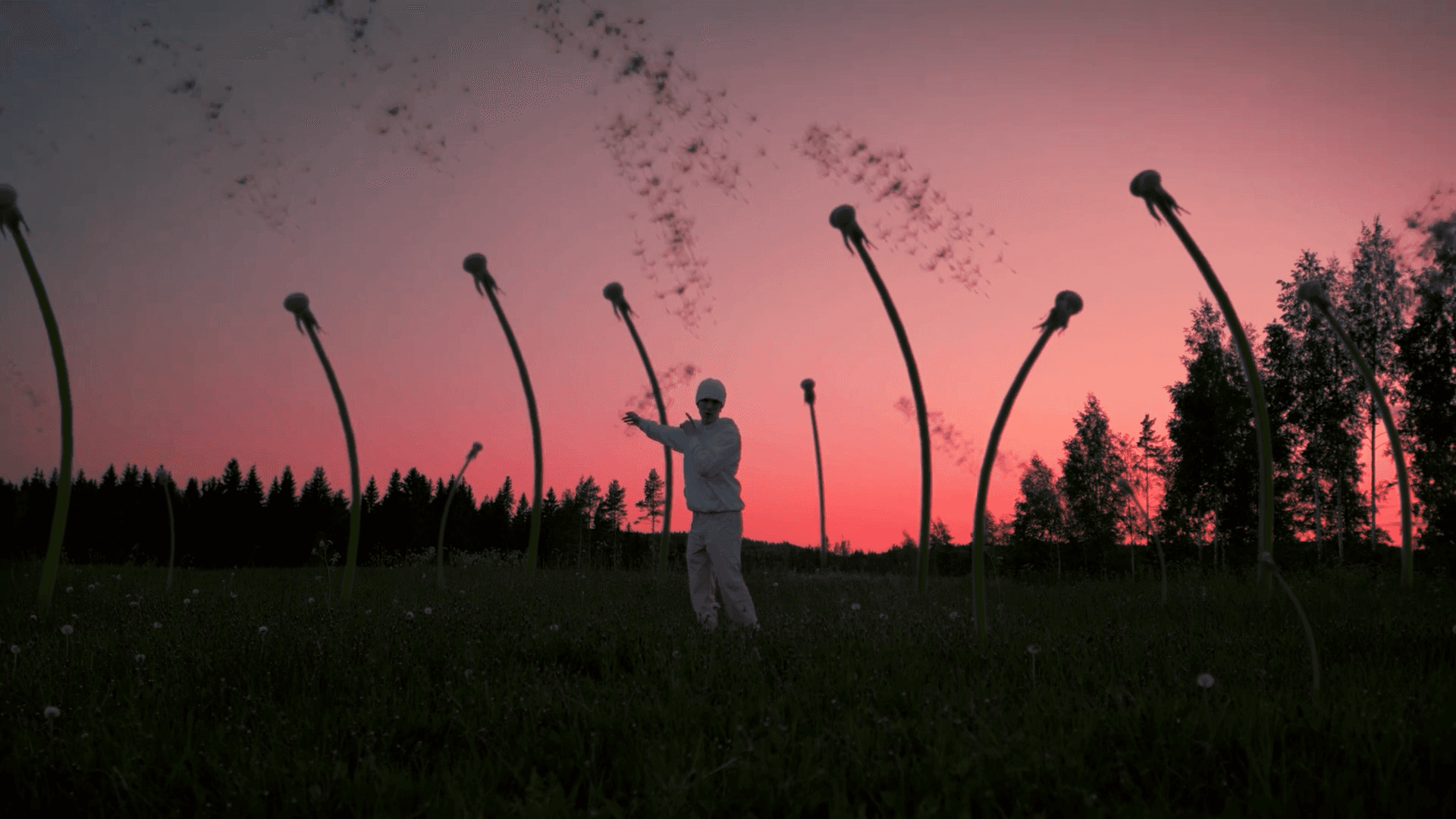 field with sunset pink sky sunset plants with person standing wearing white in field trees plants danilions