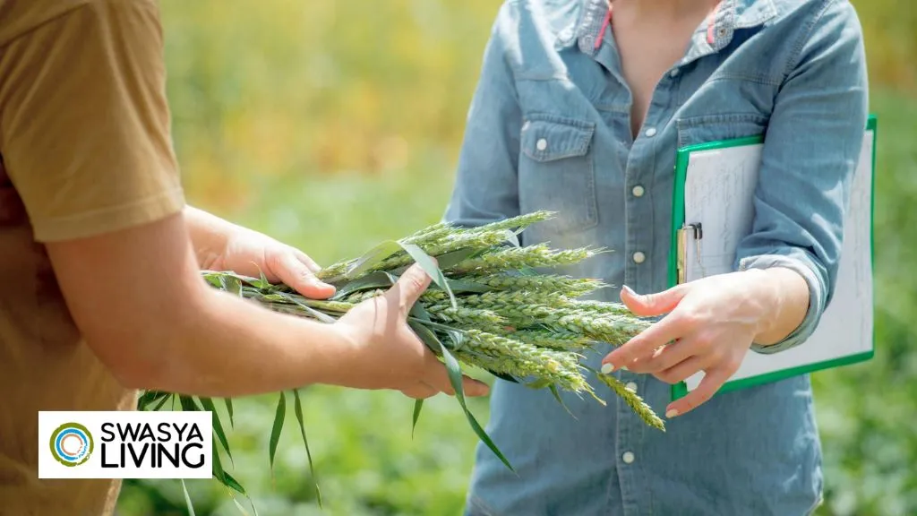 Simplifying the Farmland Registration Process in India with Swasya Living