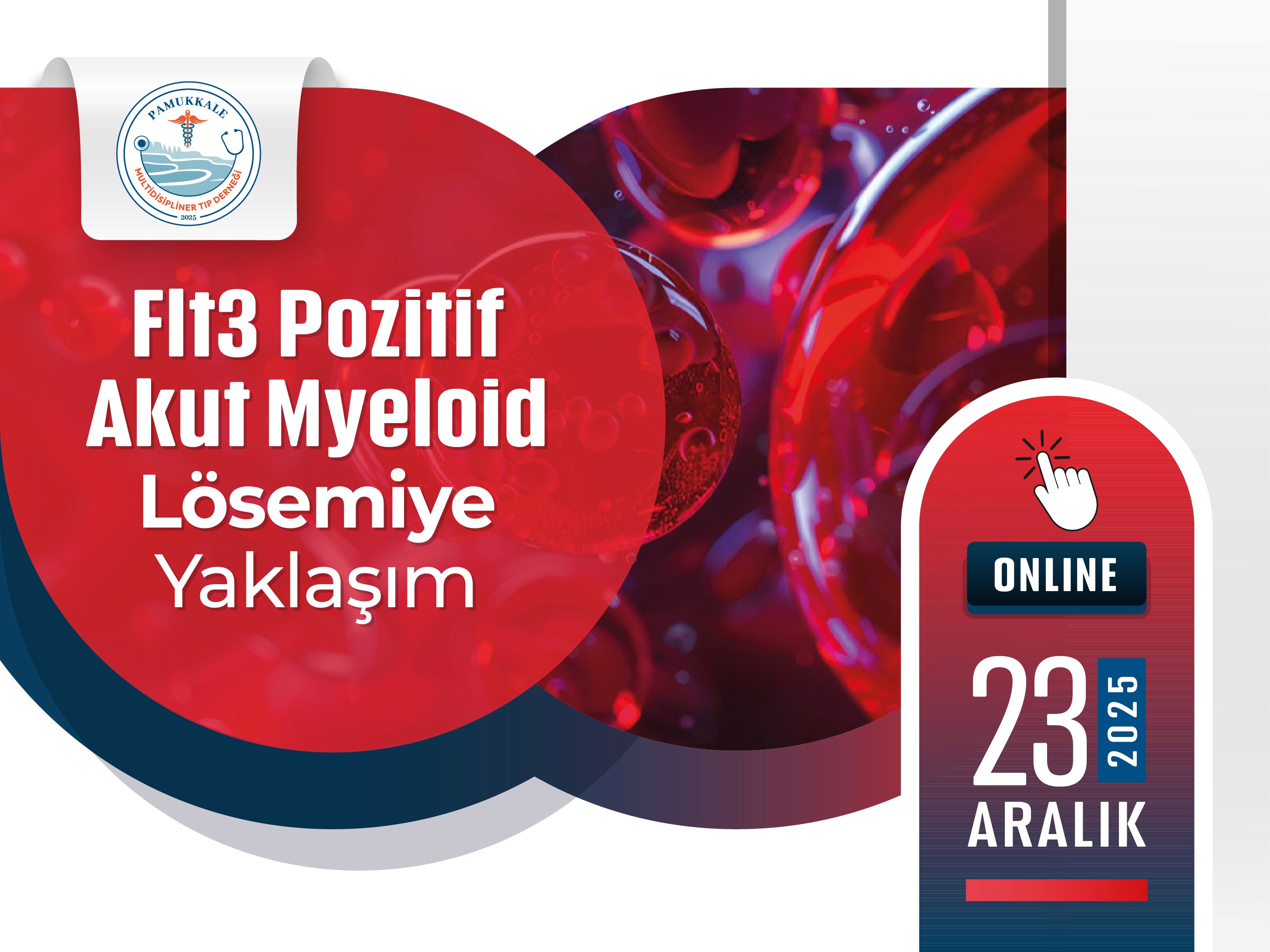 flt3-pozitif-akut-myeloid-losemiye-yaklasim